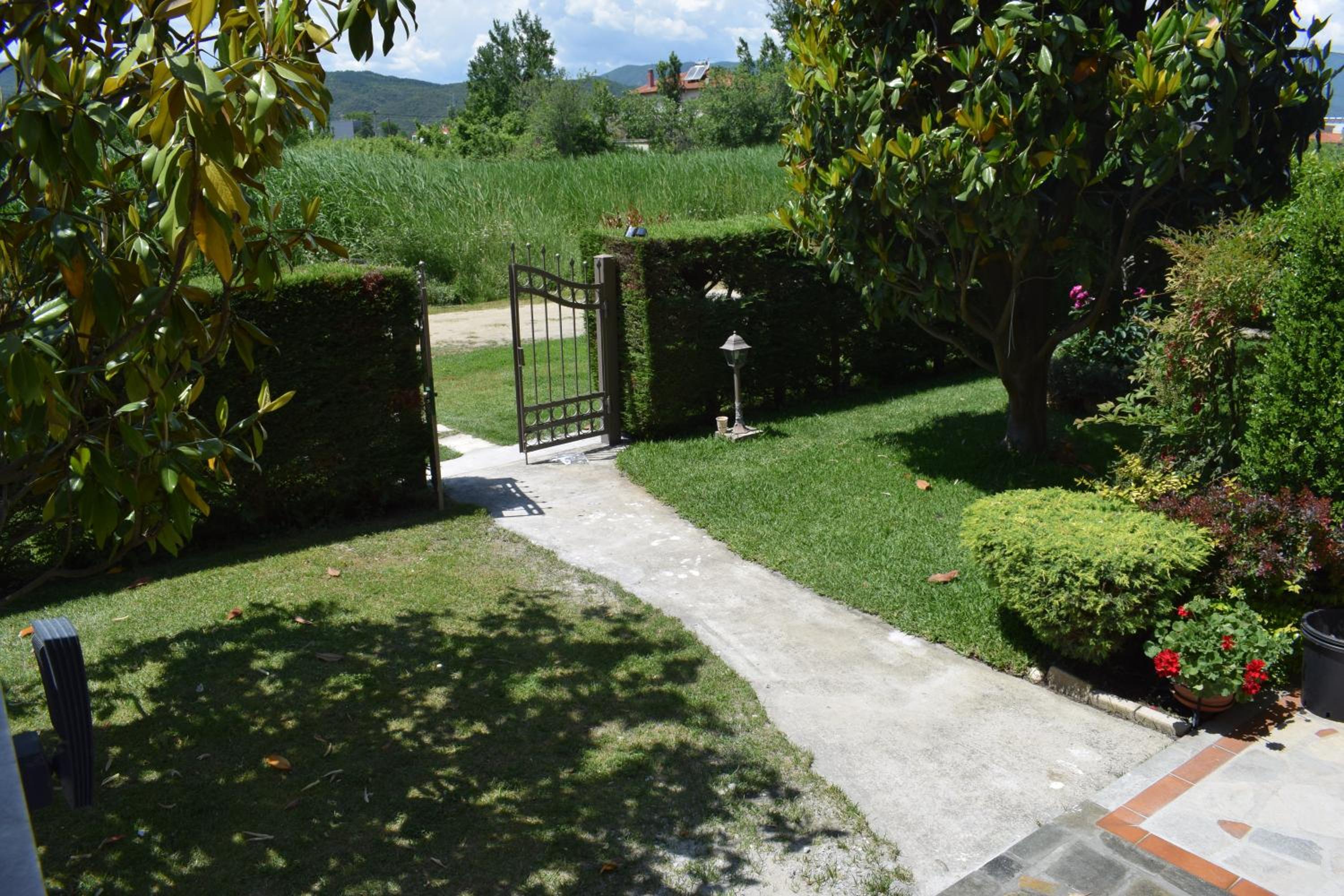 Photo 43