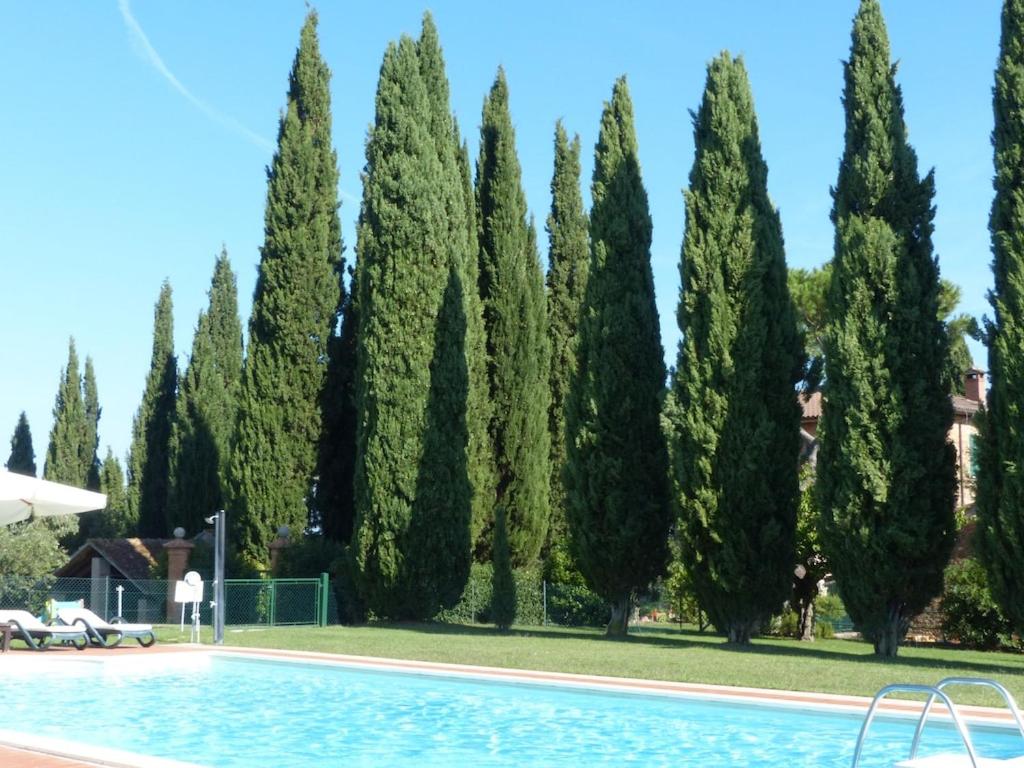 Photo 55