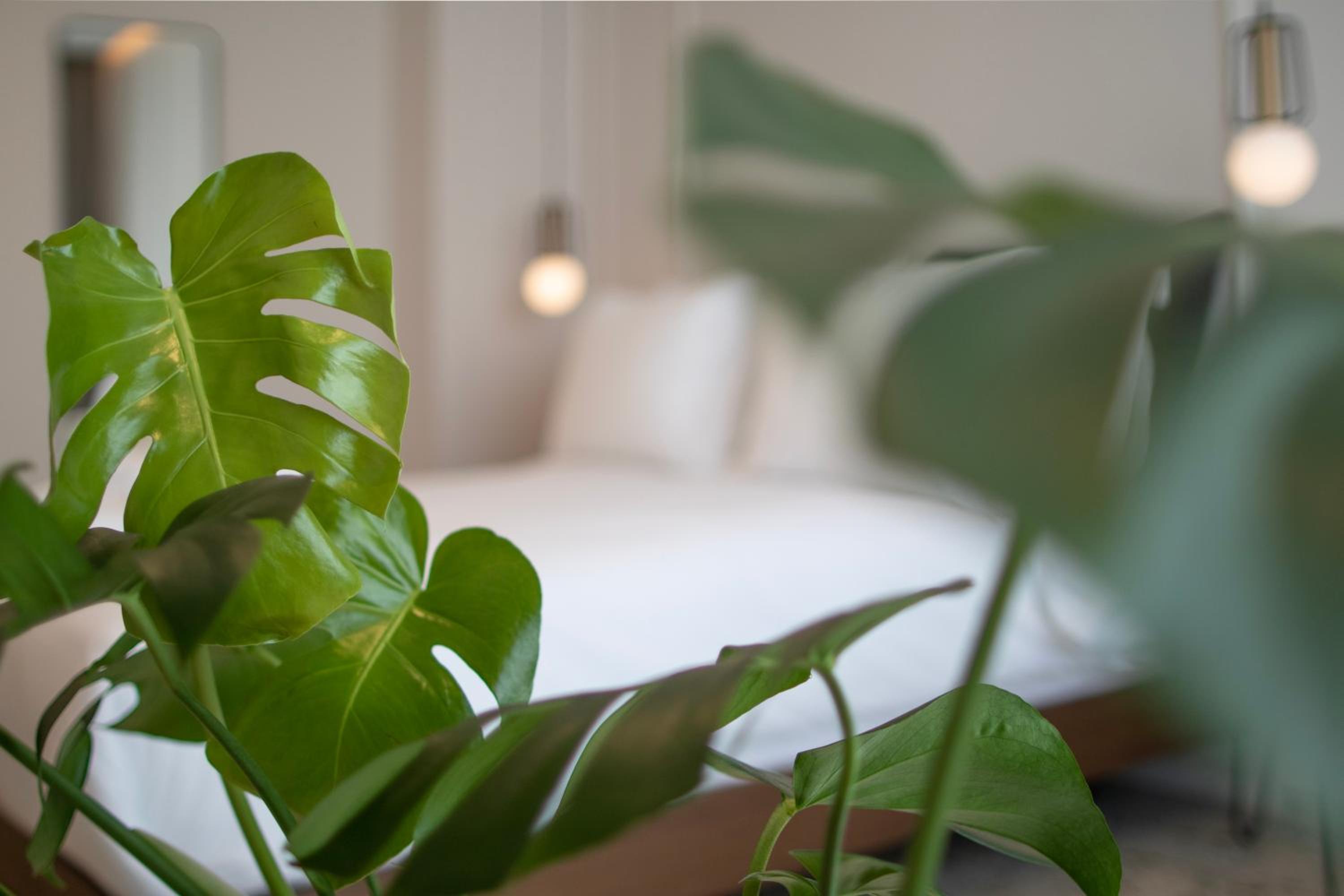 Mythodea Athens Suites