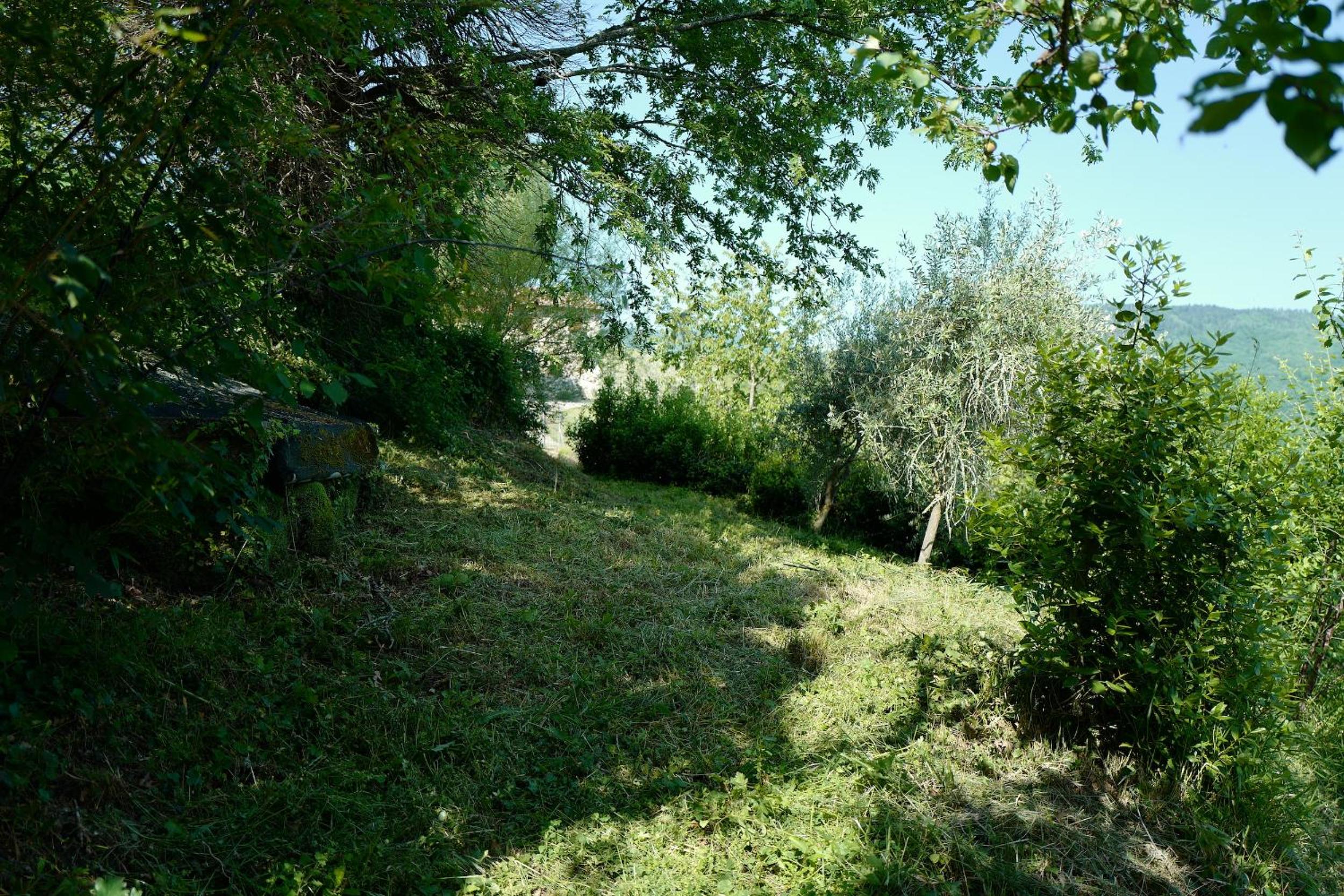 Photo 21