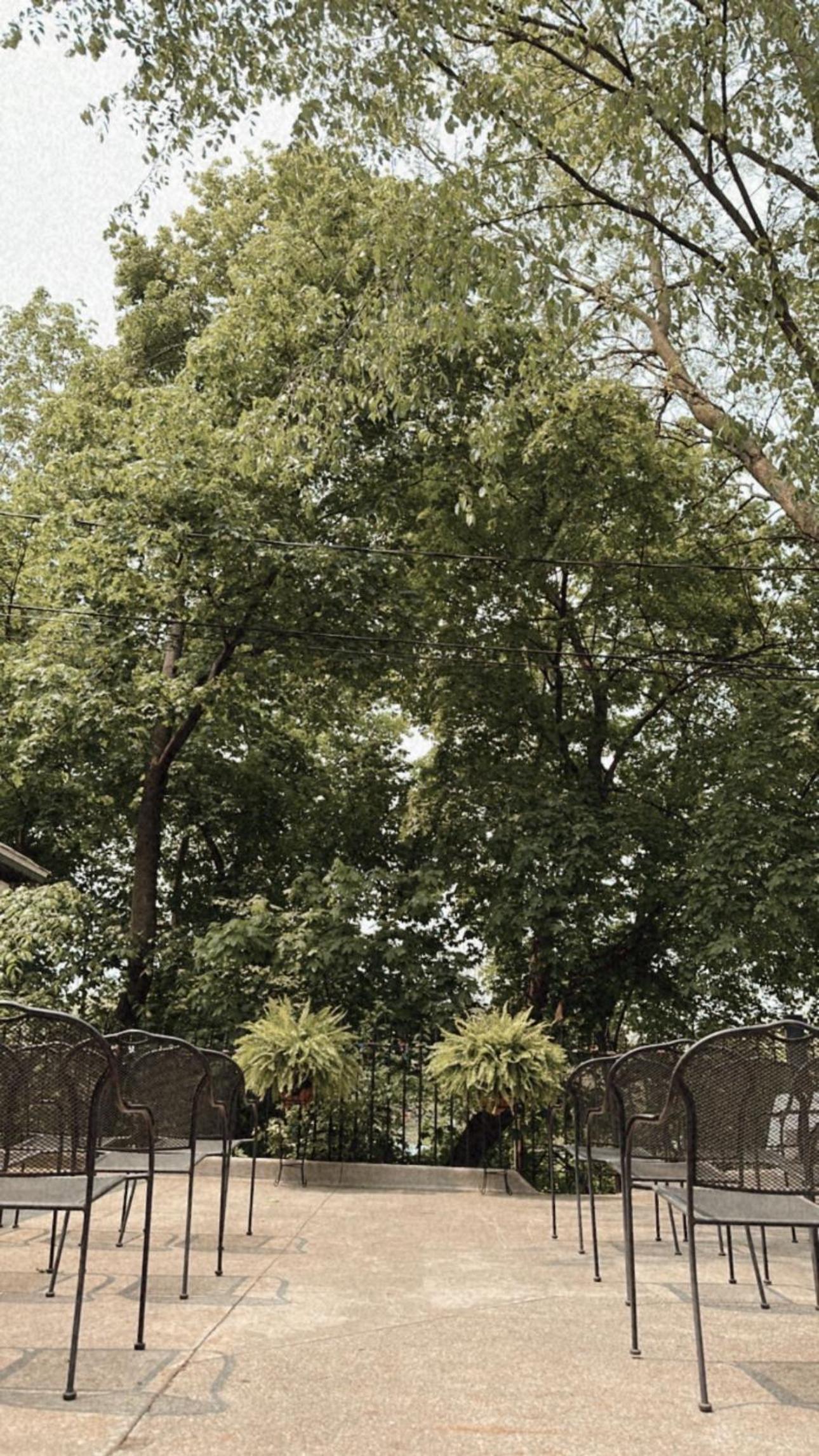 The Ginkgo Tree