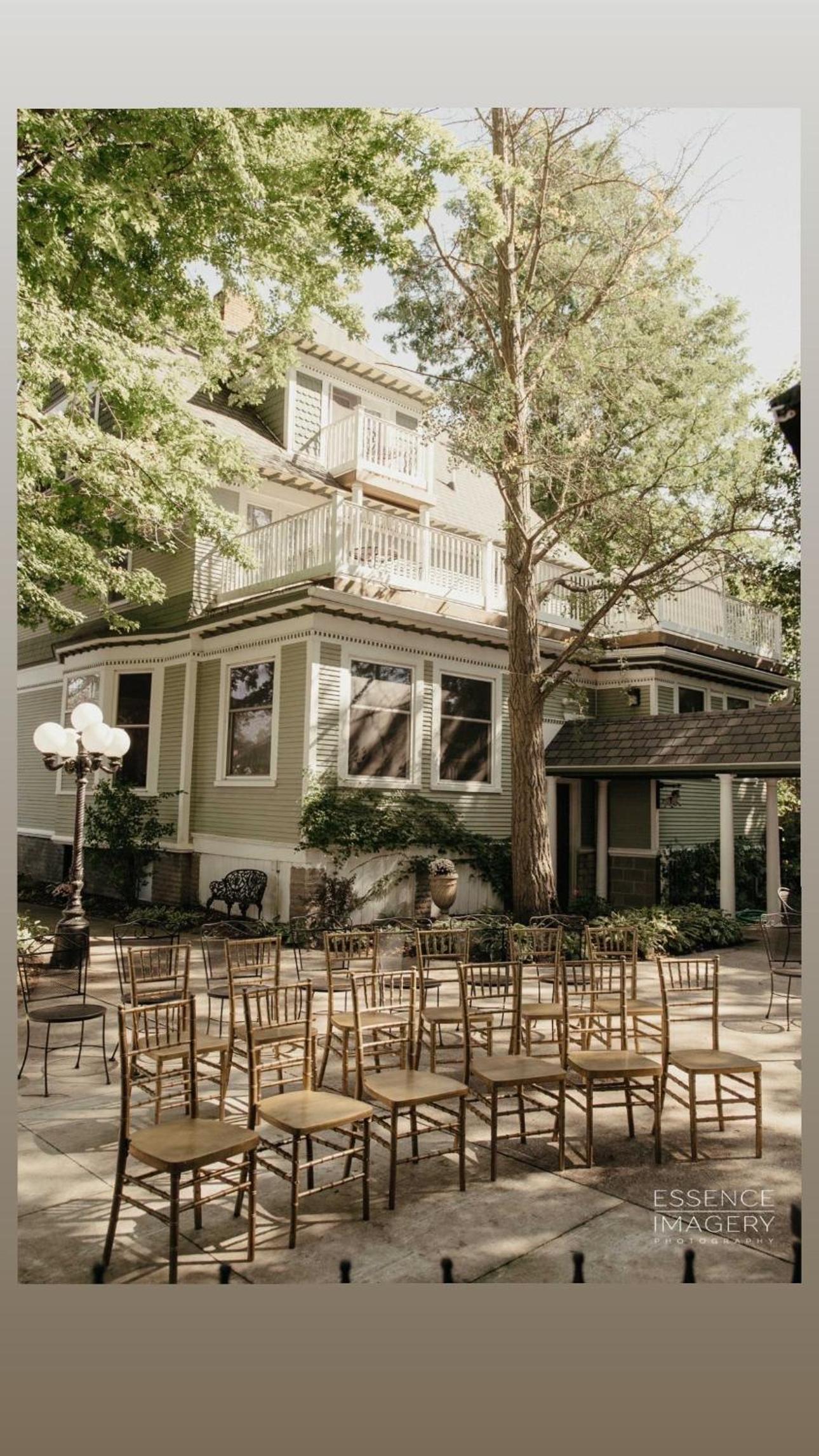 The Ginkgo Tree