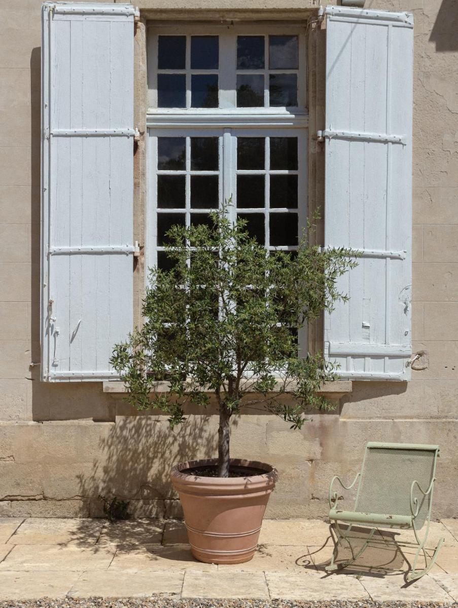 Château Marcellus view 4