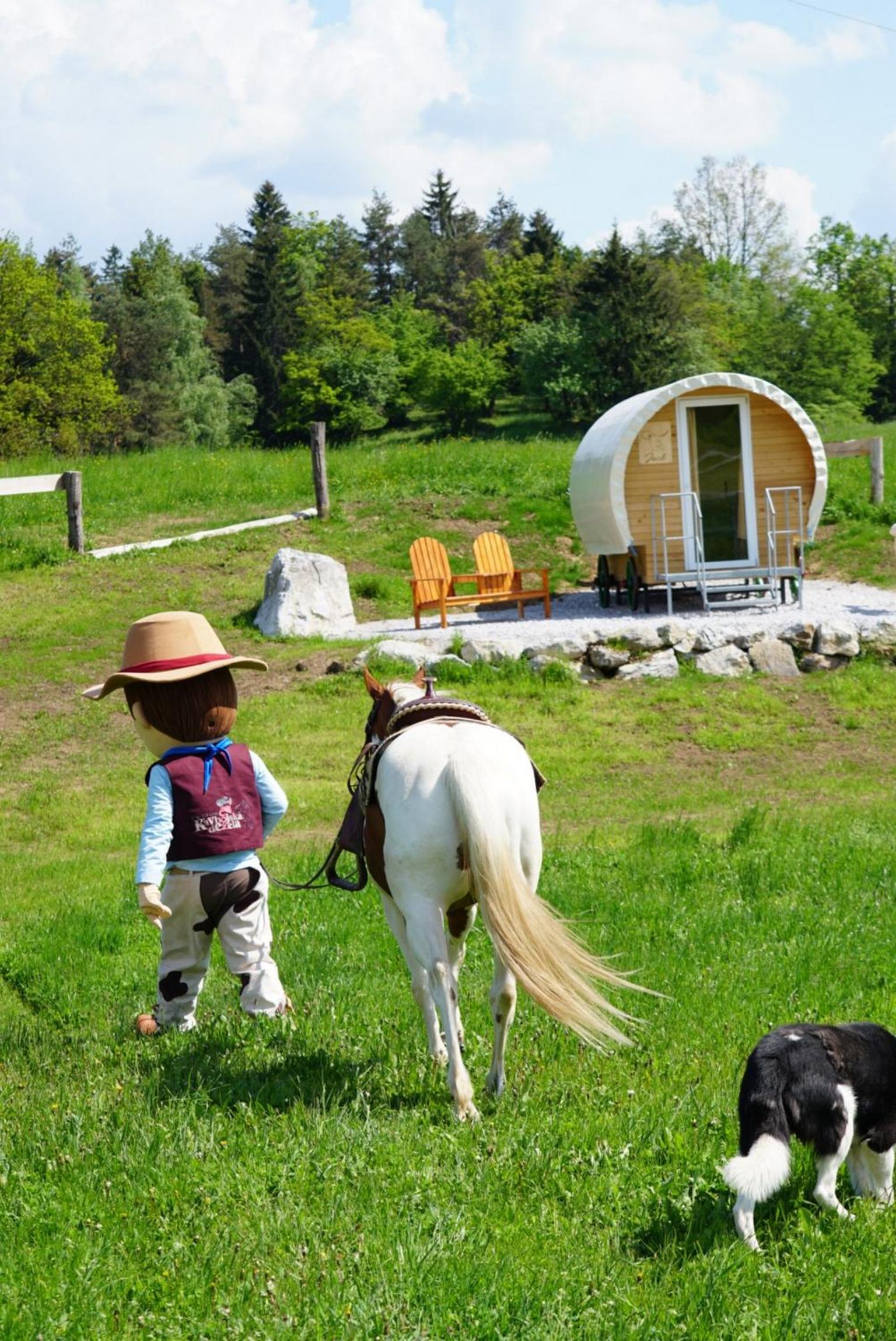 Cowboy's Land