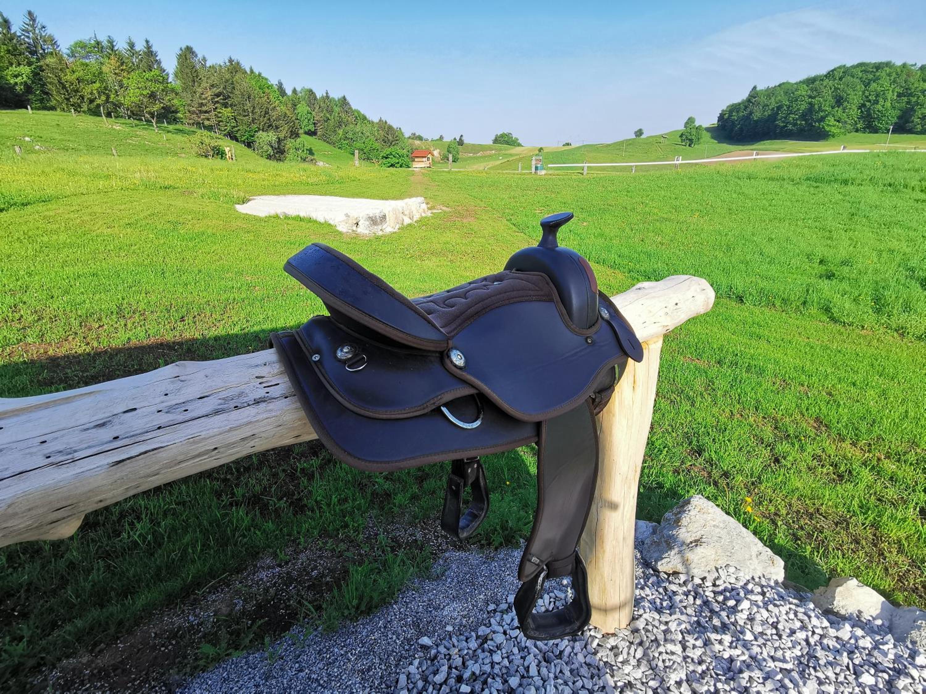 Cowboy's Land