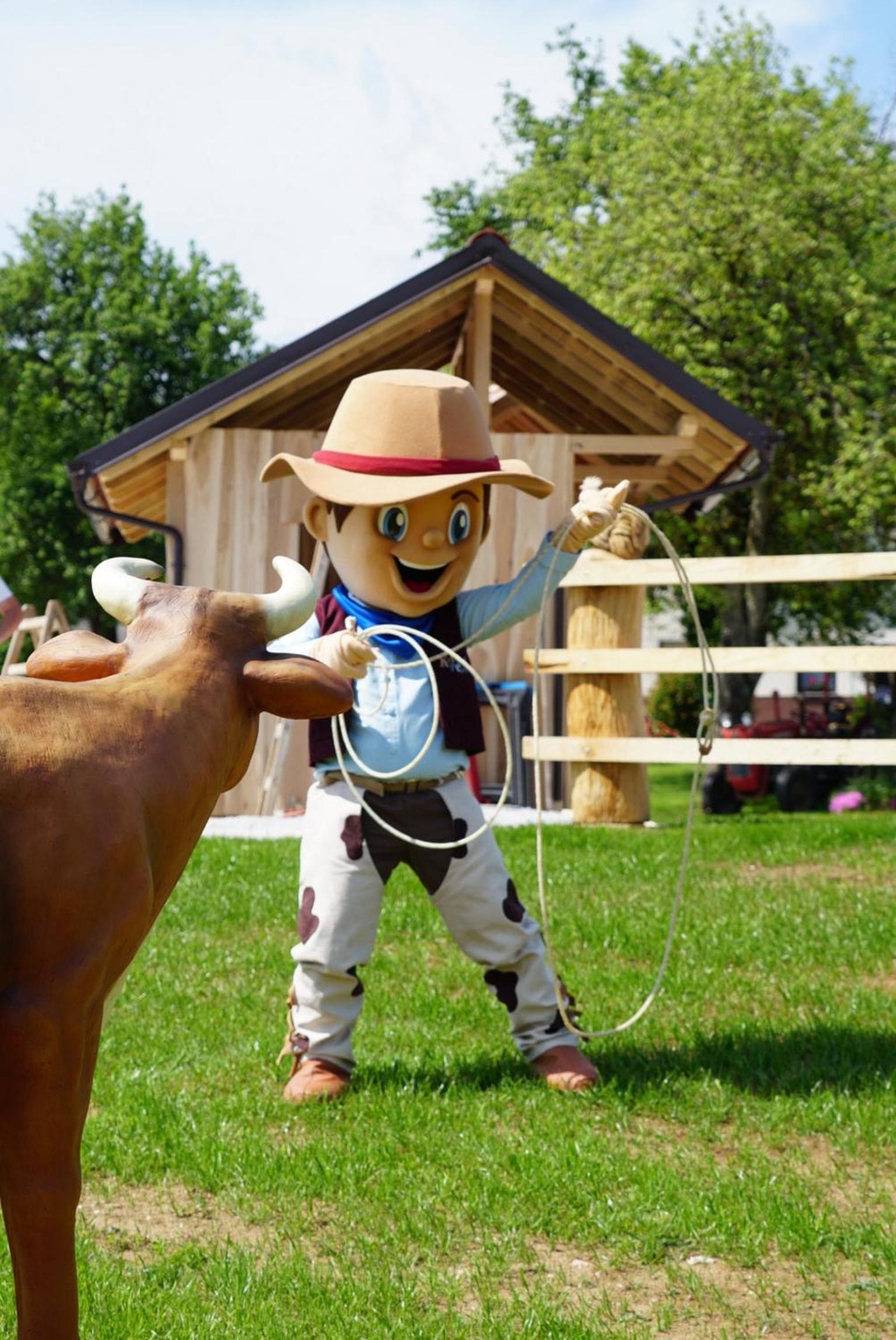 Cowboy's Land