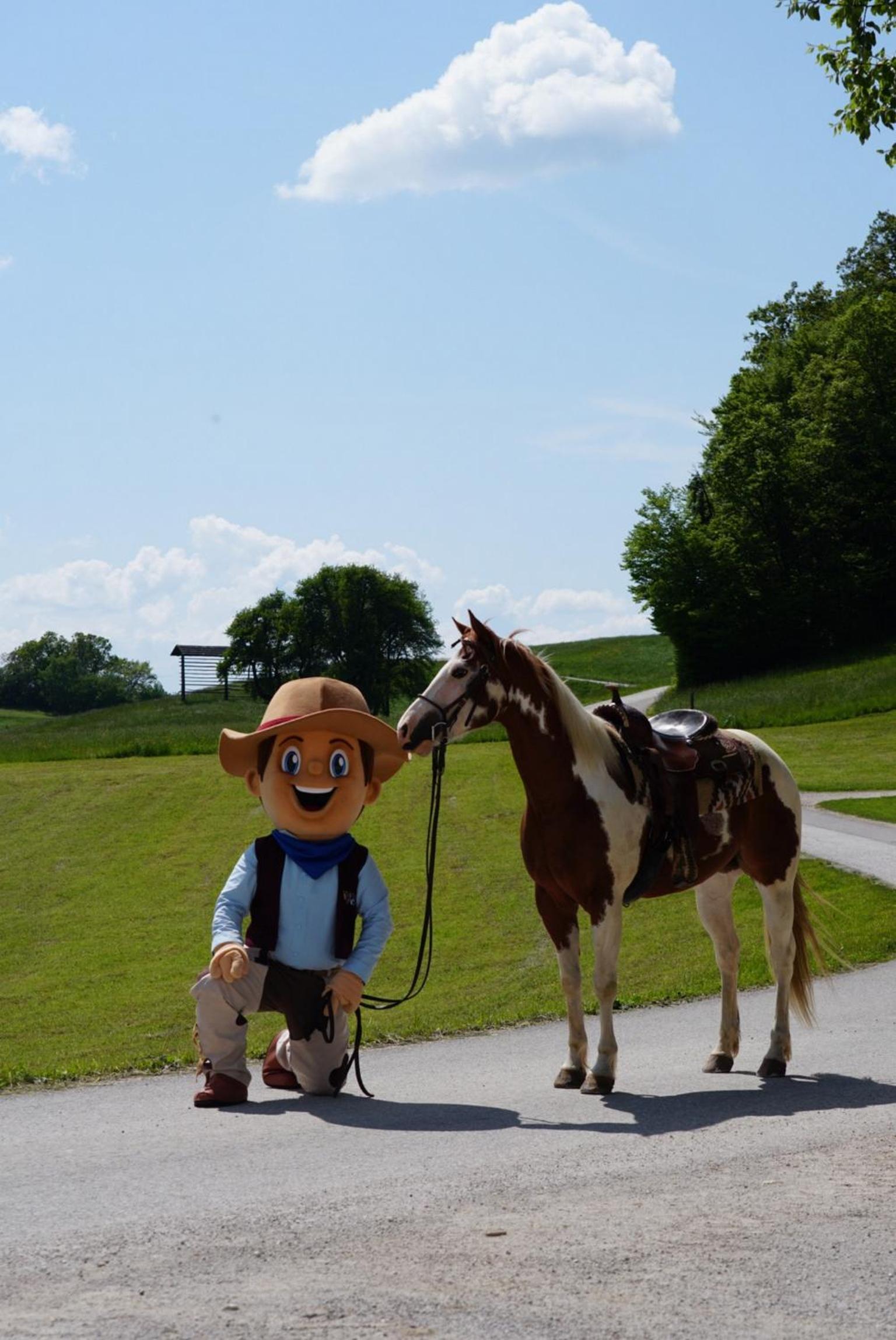 Cowboy's Land