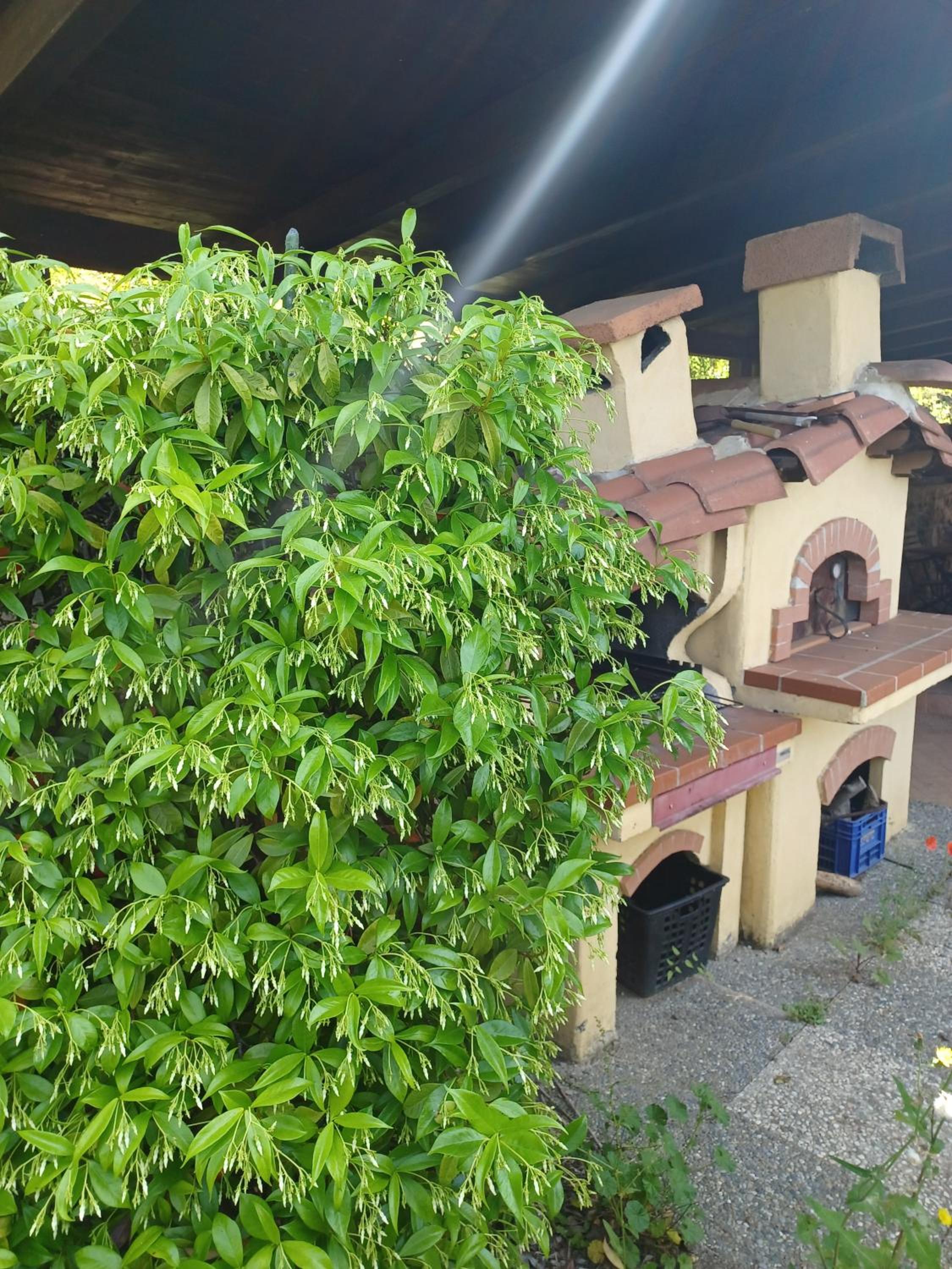 Il Fontolo