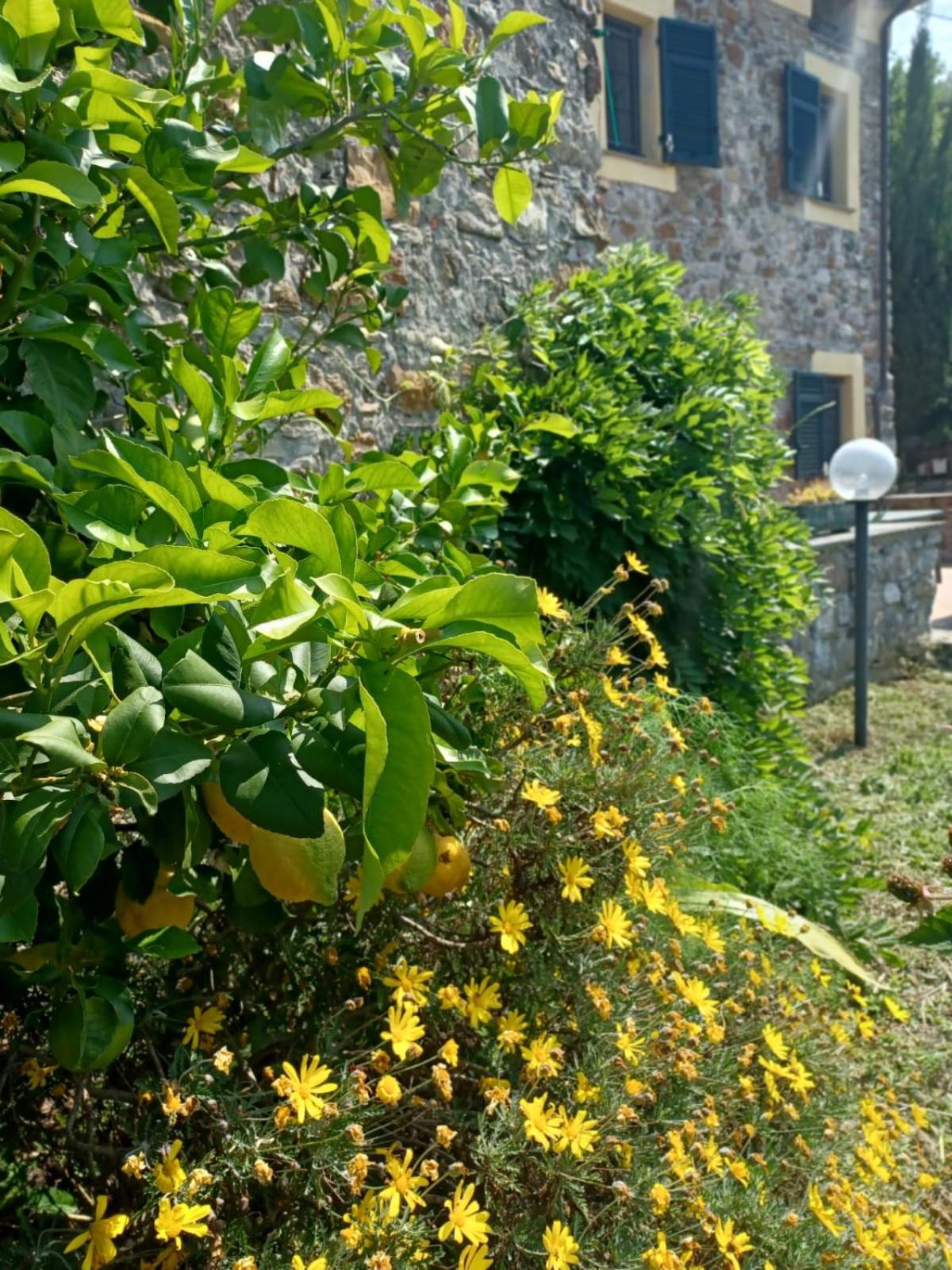 Il Fontolo