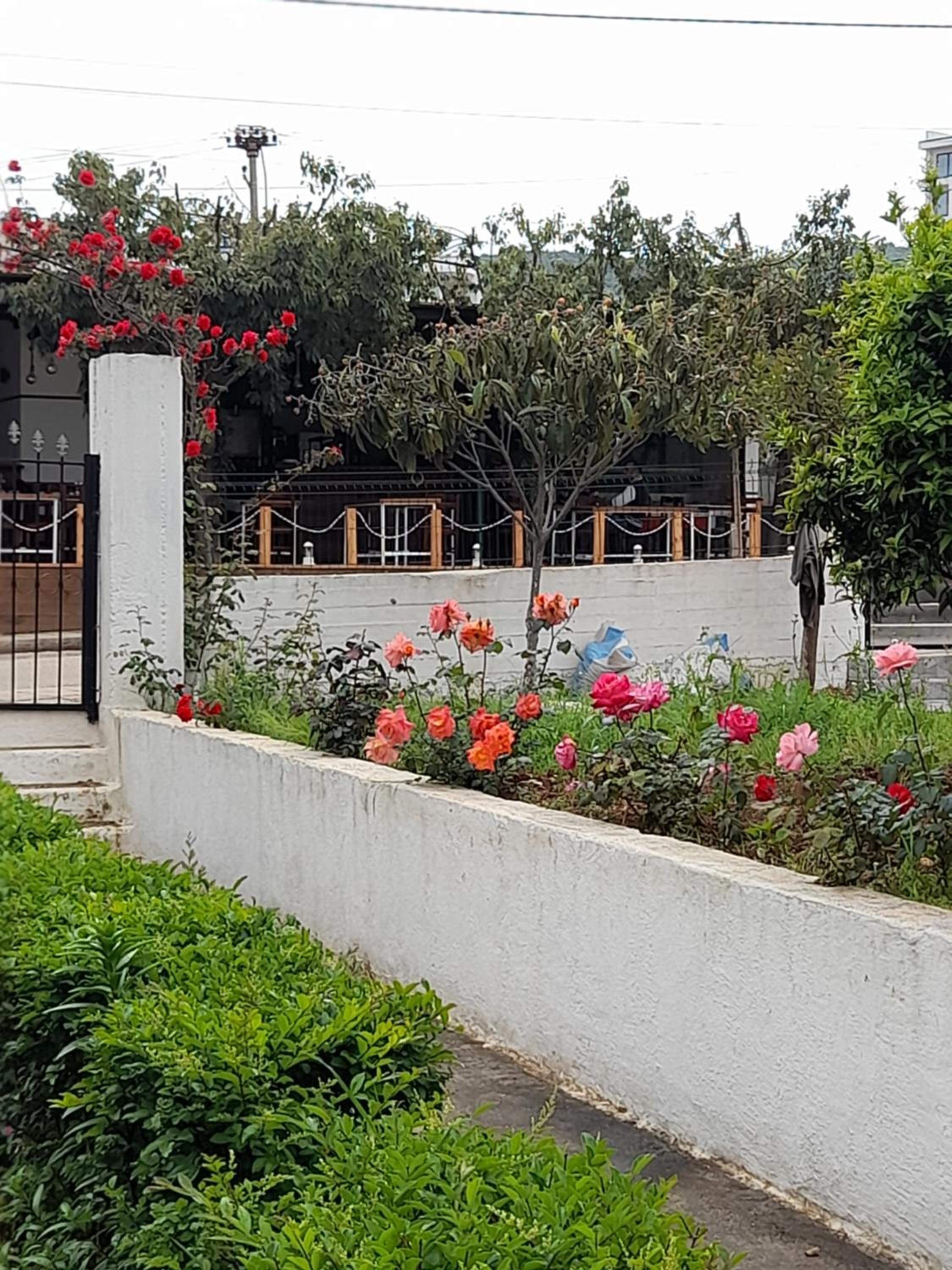Vila F&M ksamil