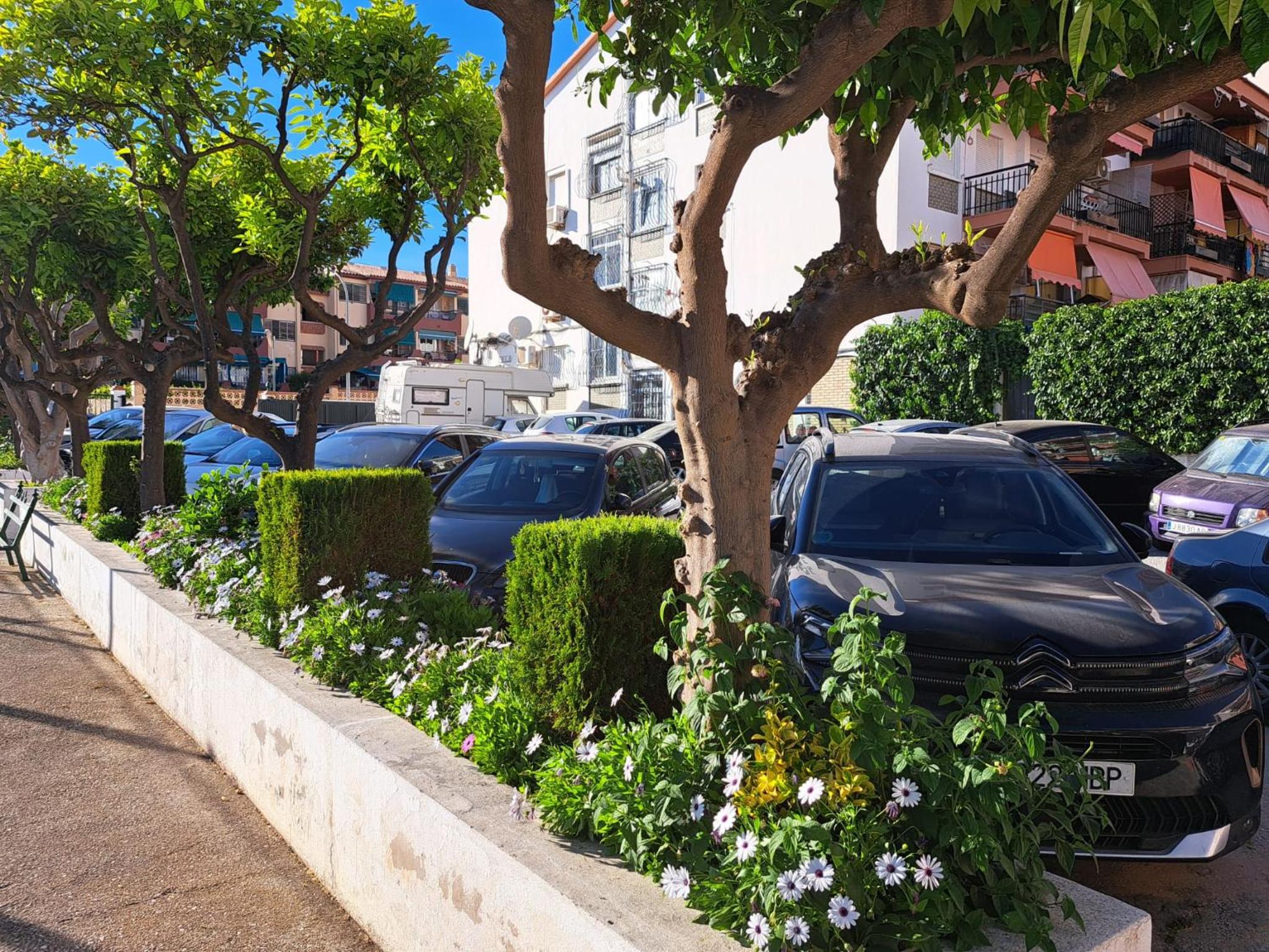 parking
