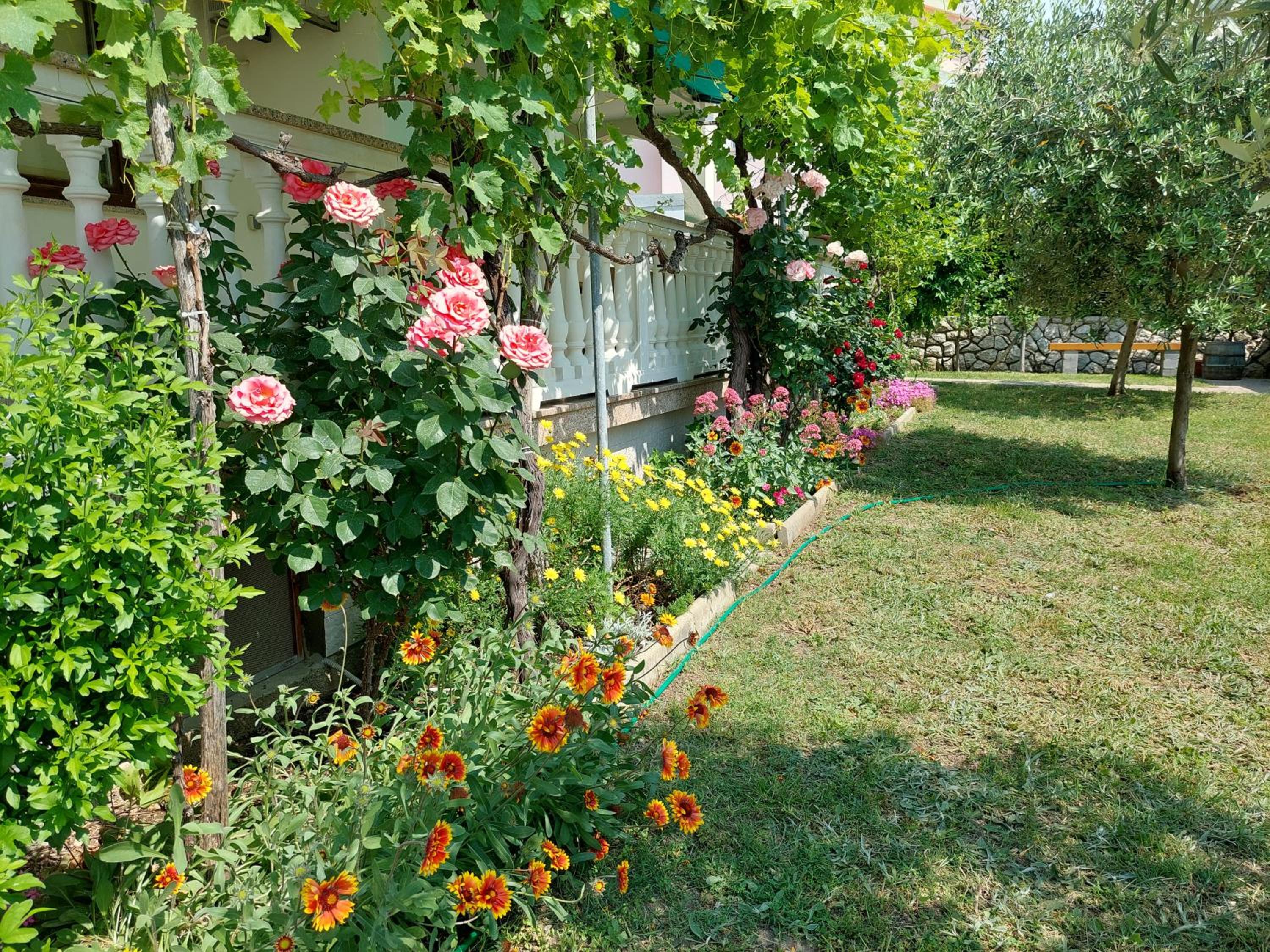 Photo 10