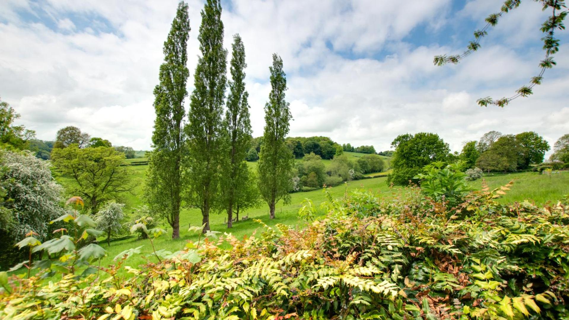 4 Bed in Belper oc-dcwod