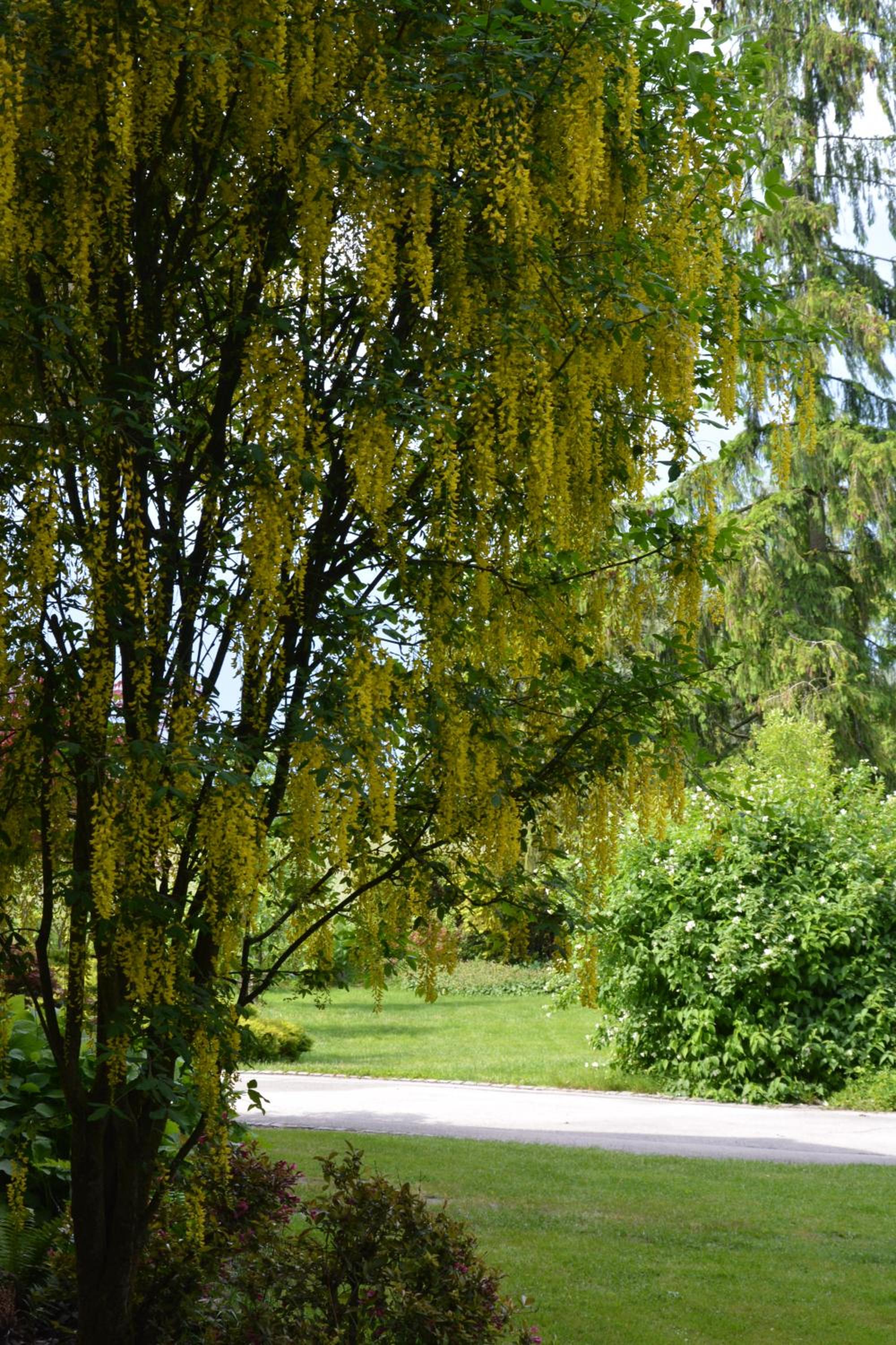 Photo 42
