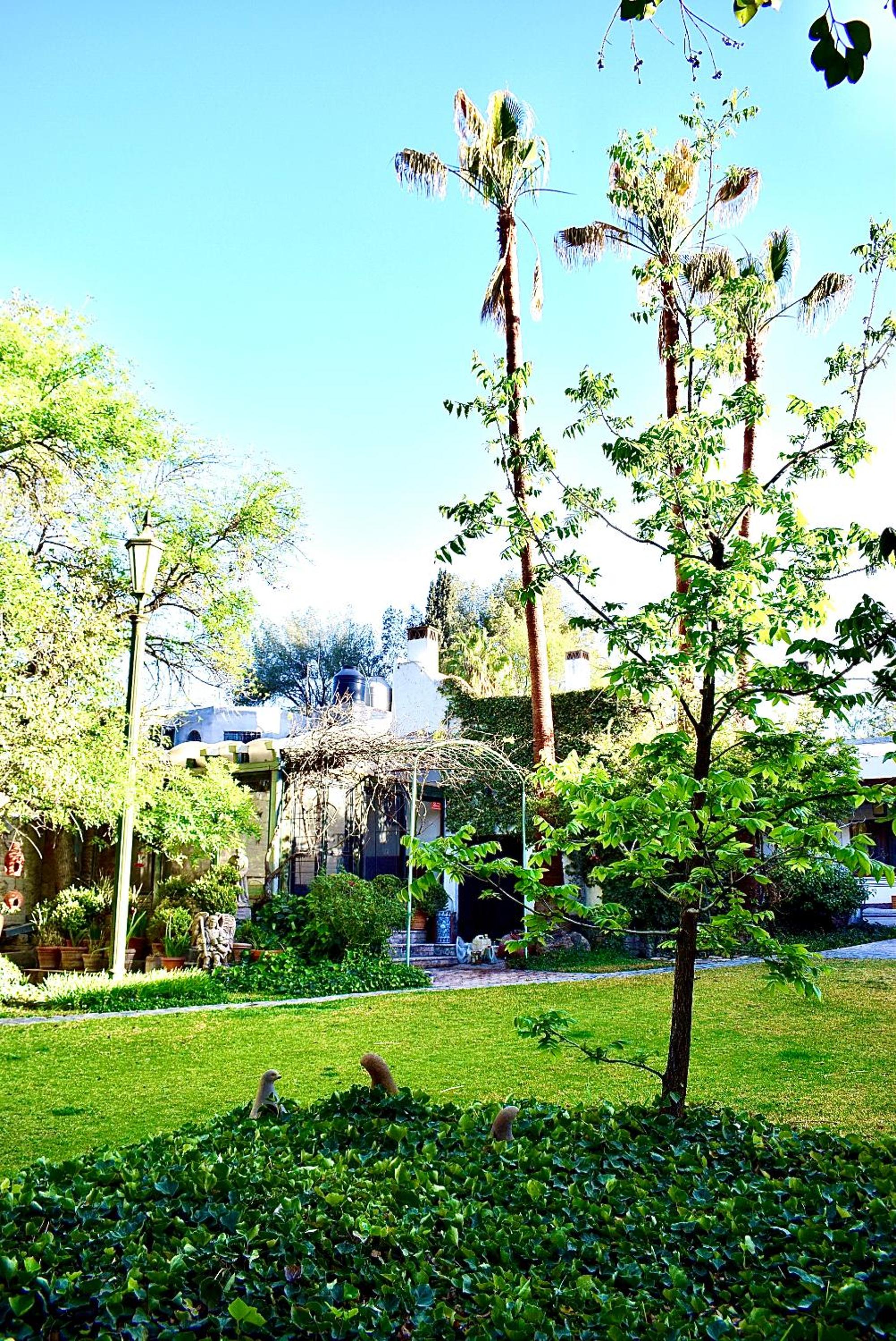 Photo 12