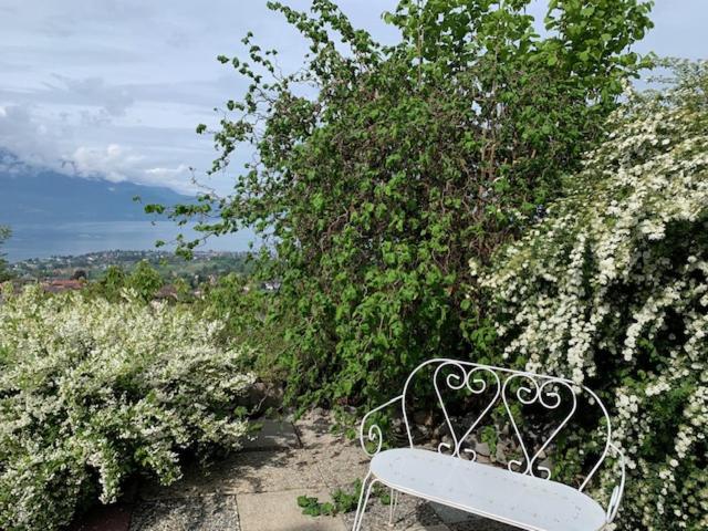 Magie Du Léman