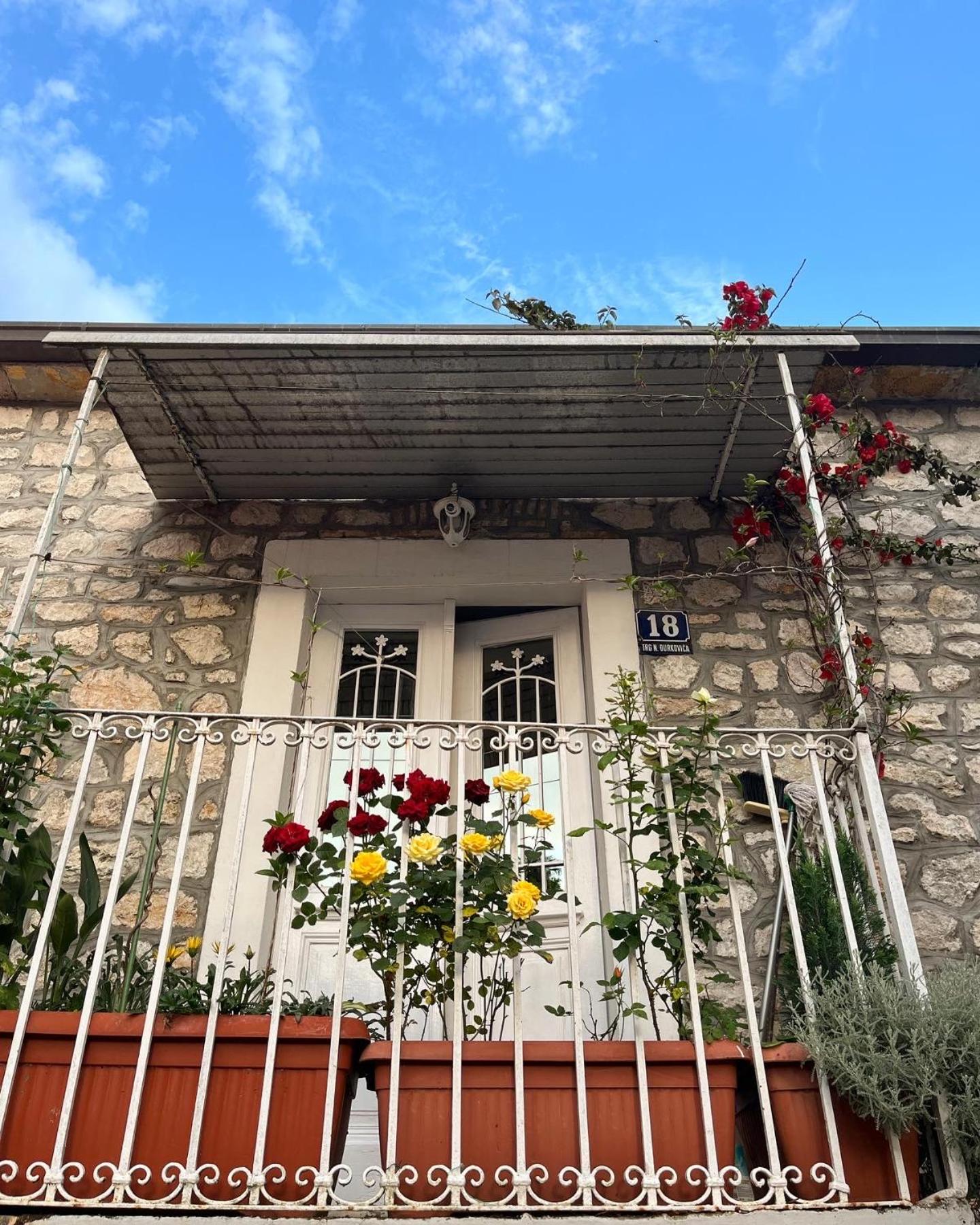 Hidden Gem Studio Apartment photo 3