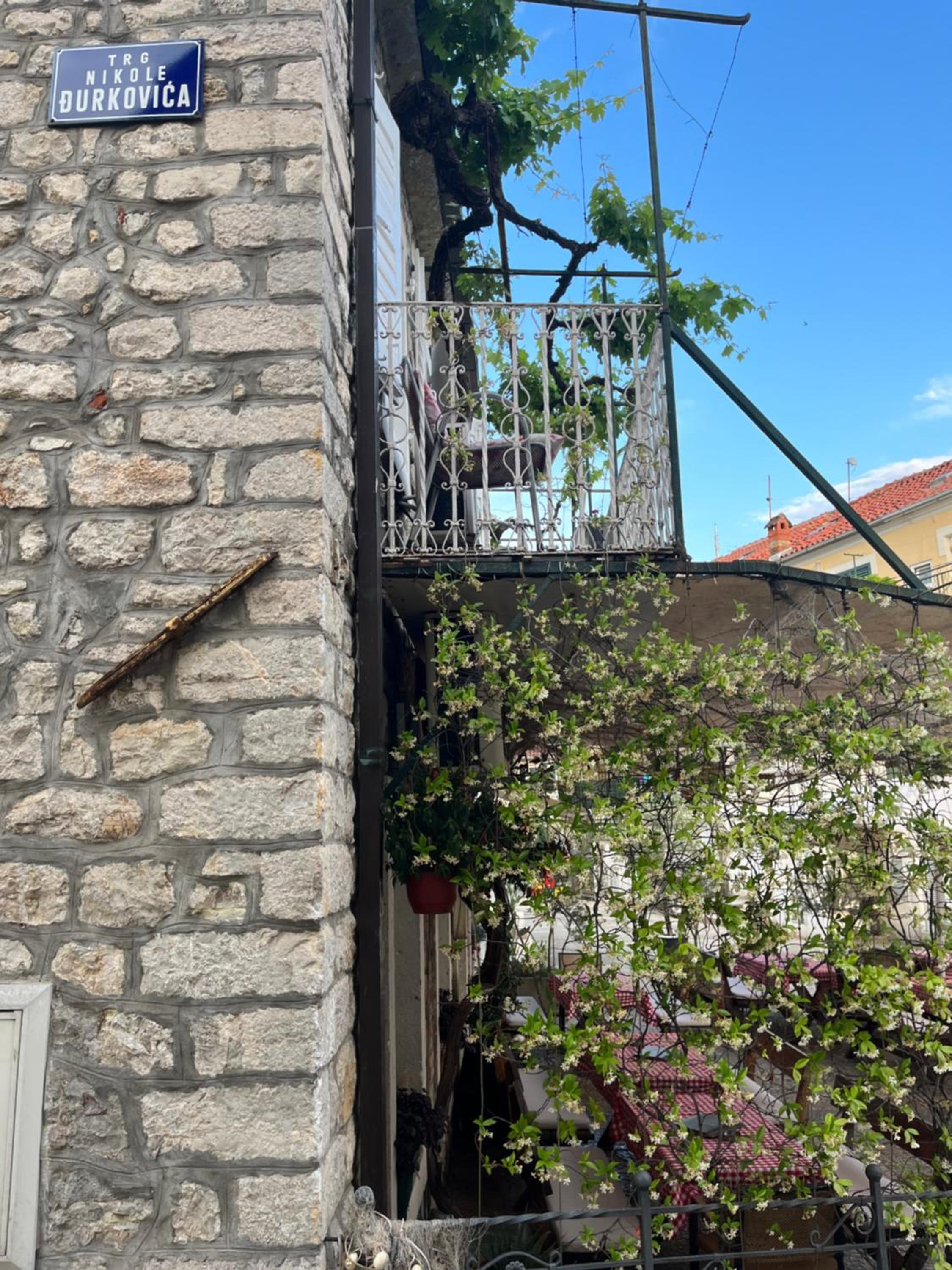 Hidden Gem Studio Apartment photo 4