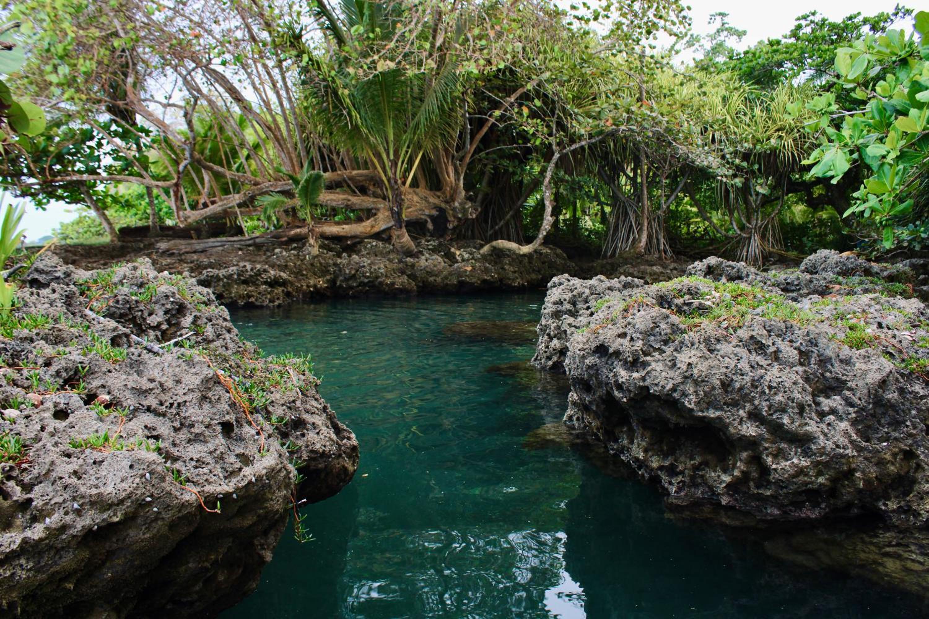Cabinas Cahuita