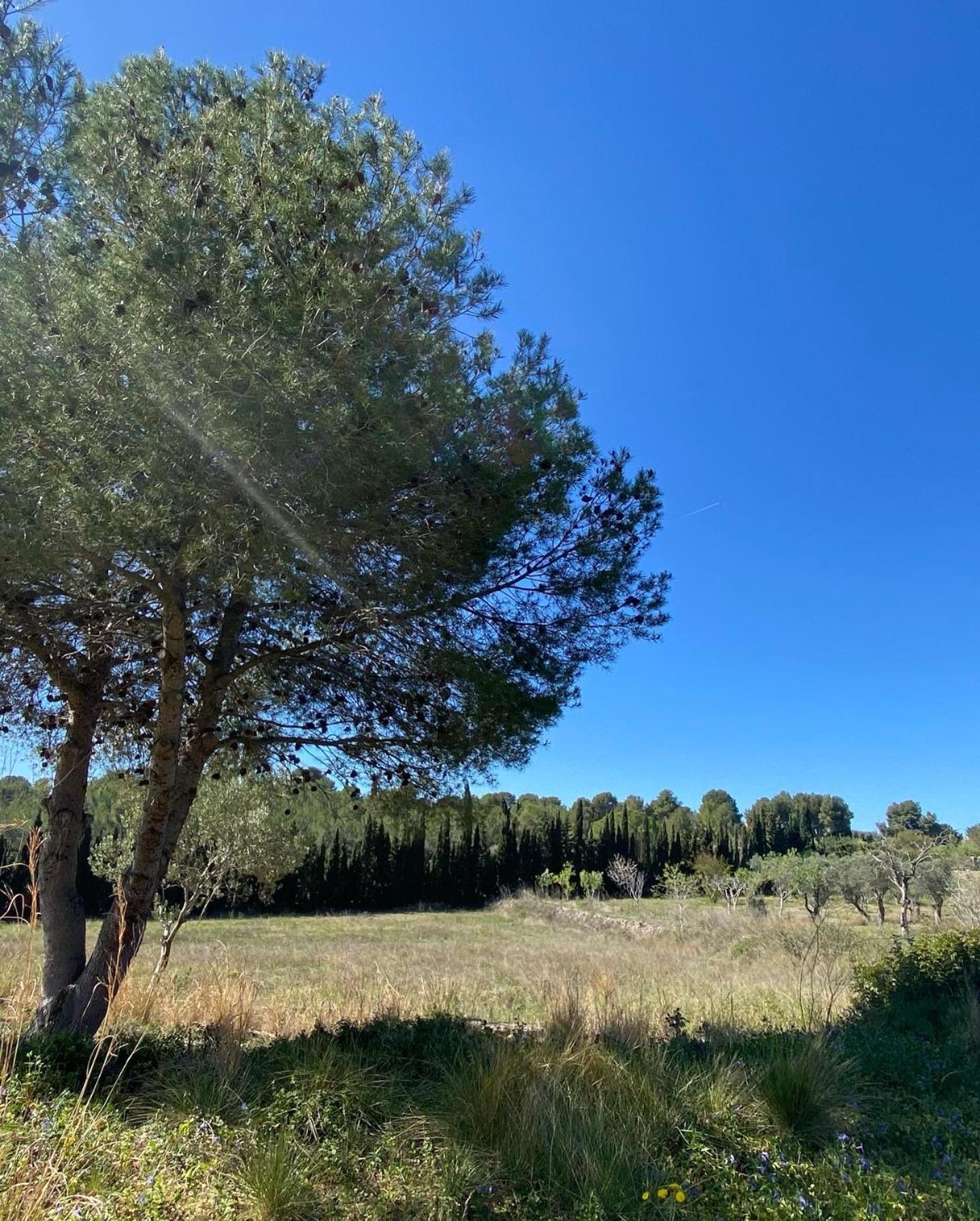 Villa Golf Sitges