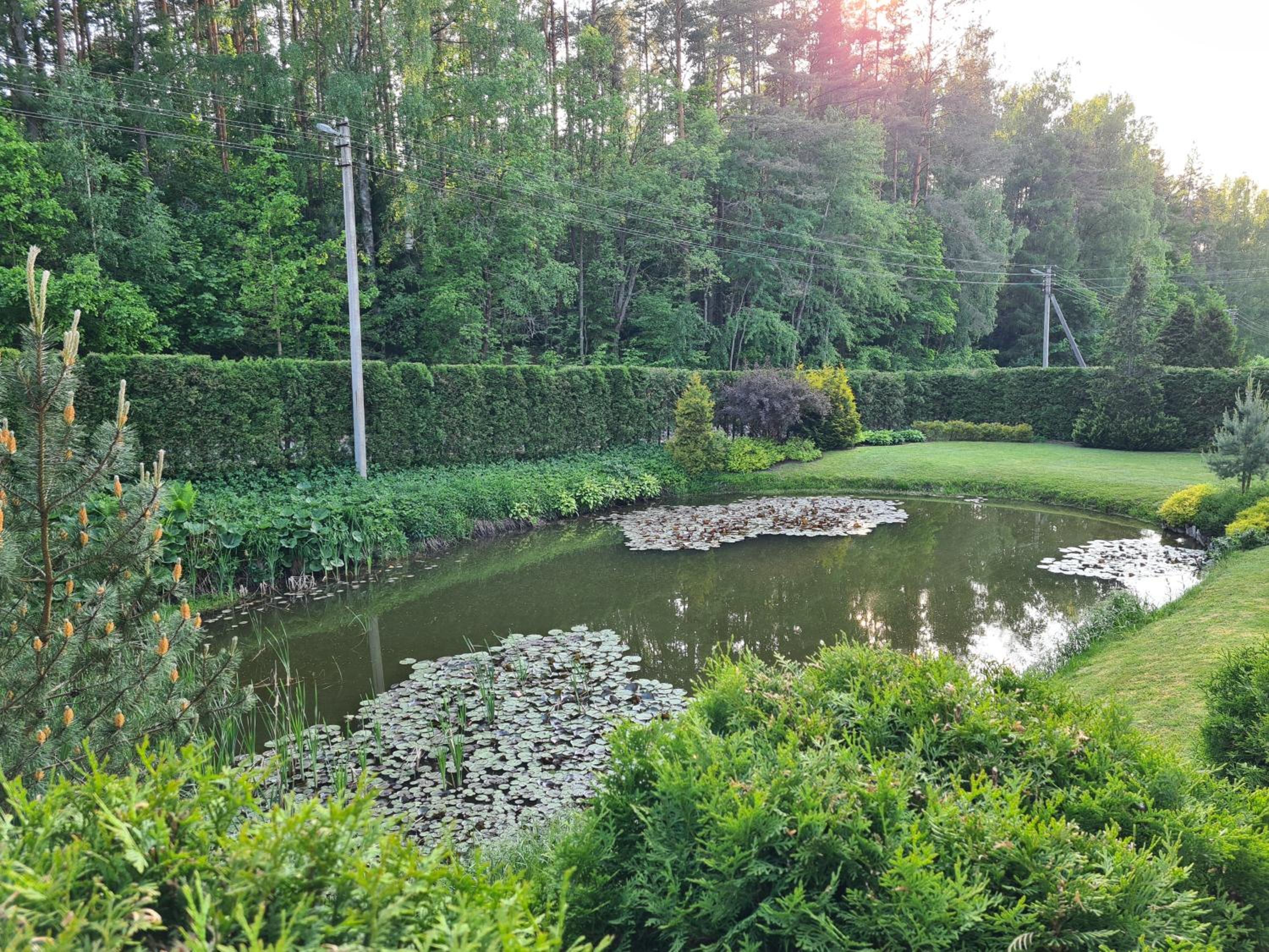 GREEN HOUSE view 4
