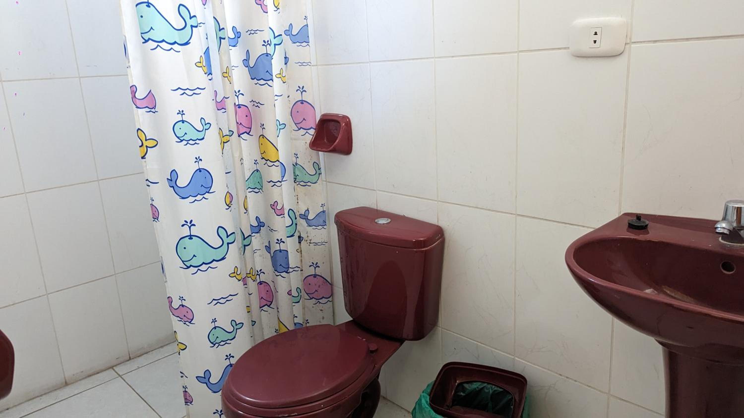 Photo 18