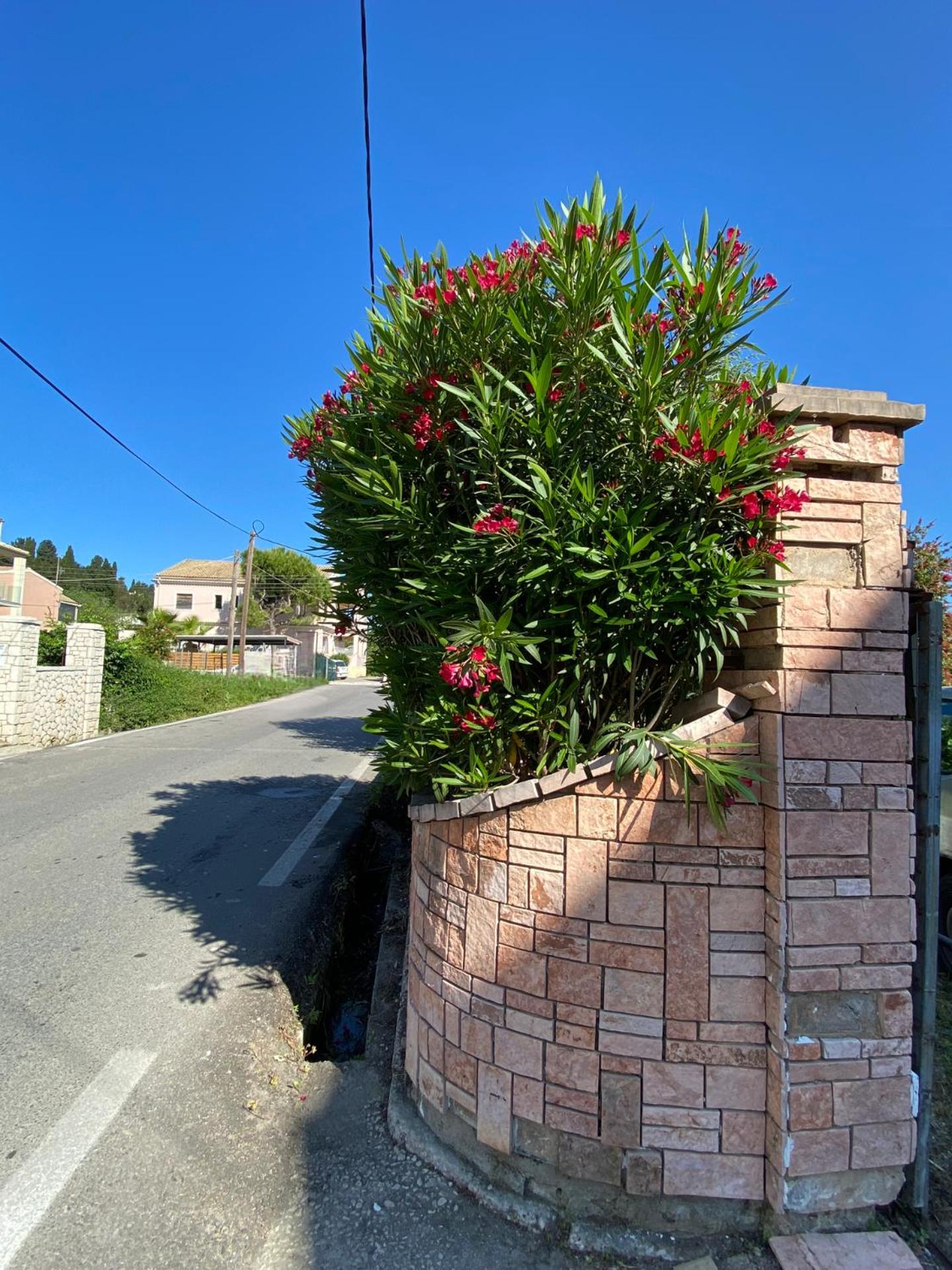 Coro Cozy House view 5