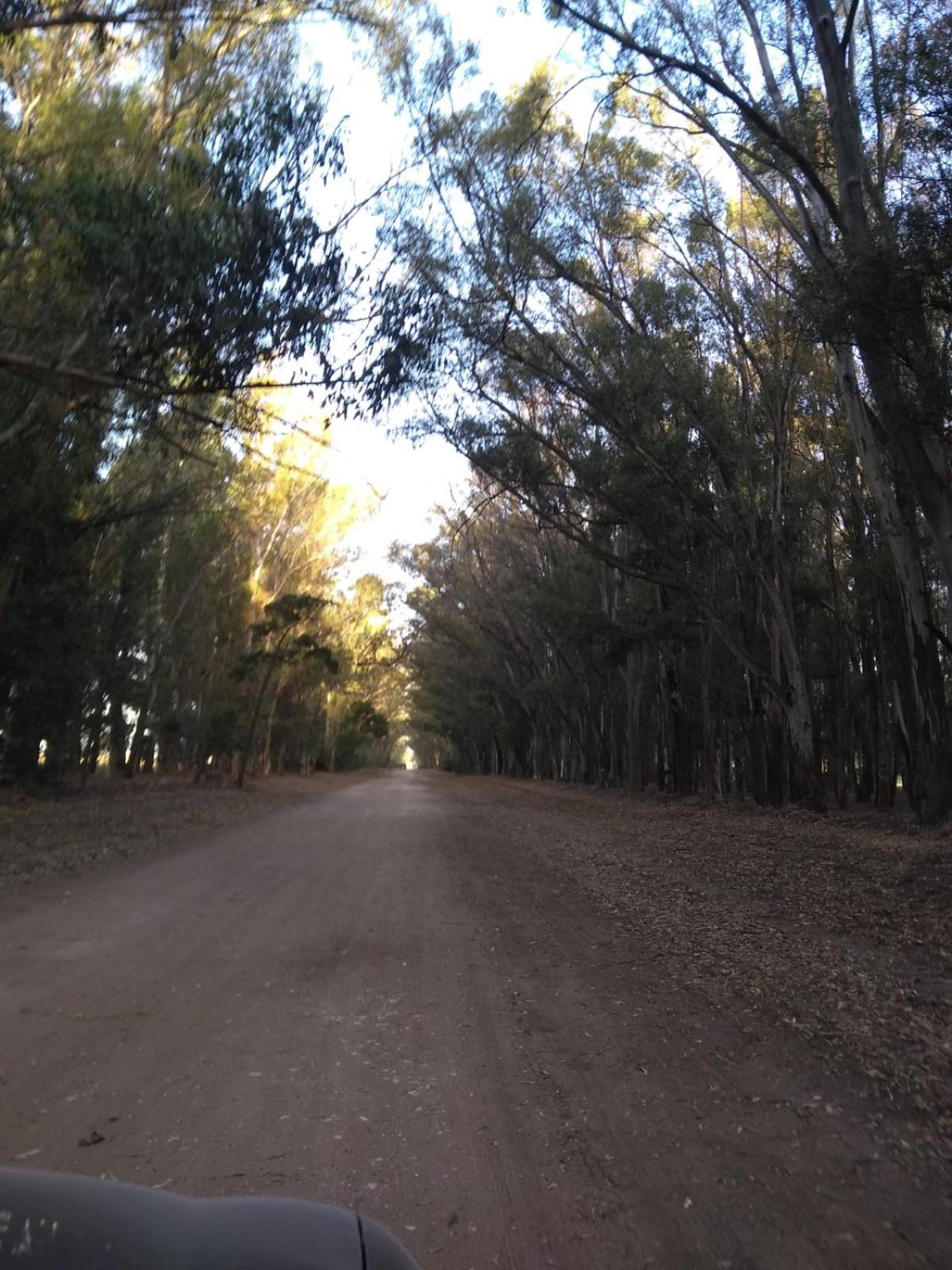 La Pascuala