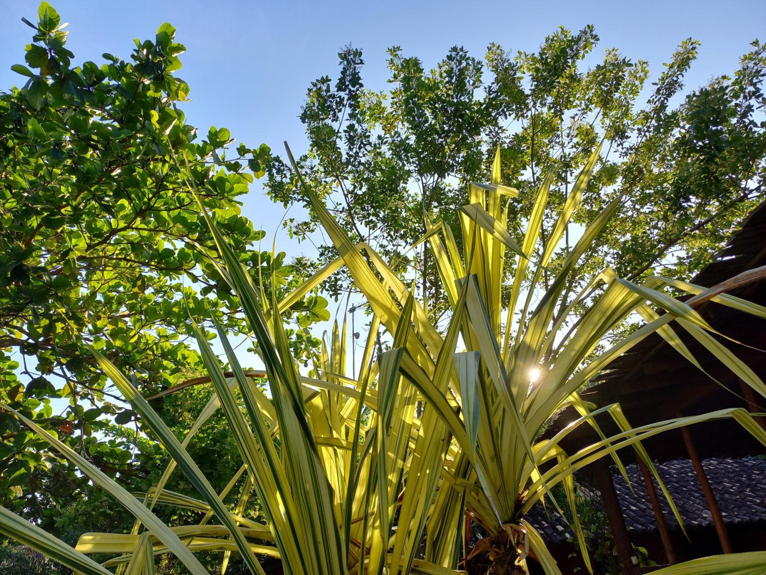 Bangalôs da Aldeia Caraiva