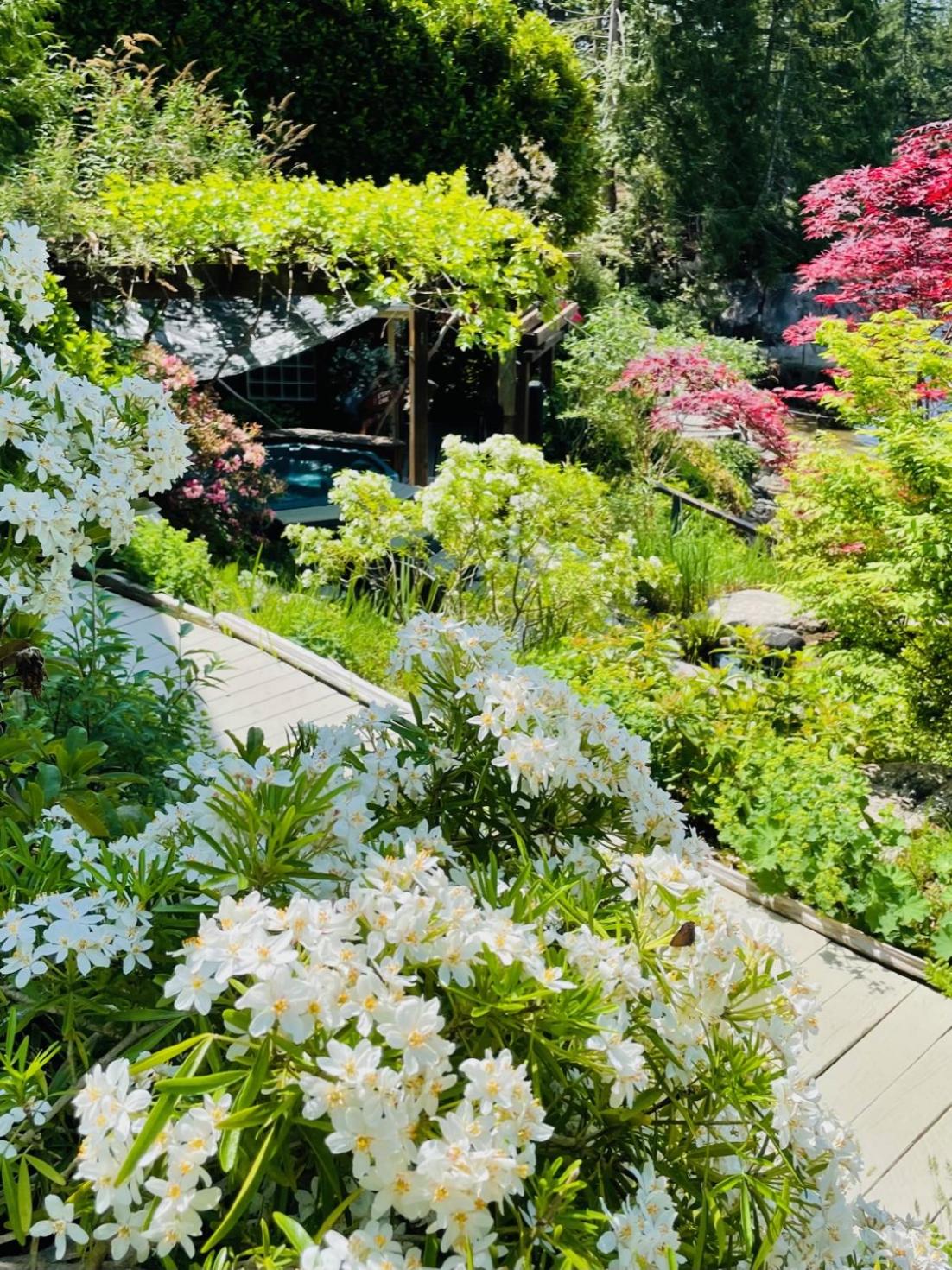 The Tuwanek Bed and Breakfast