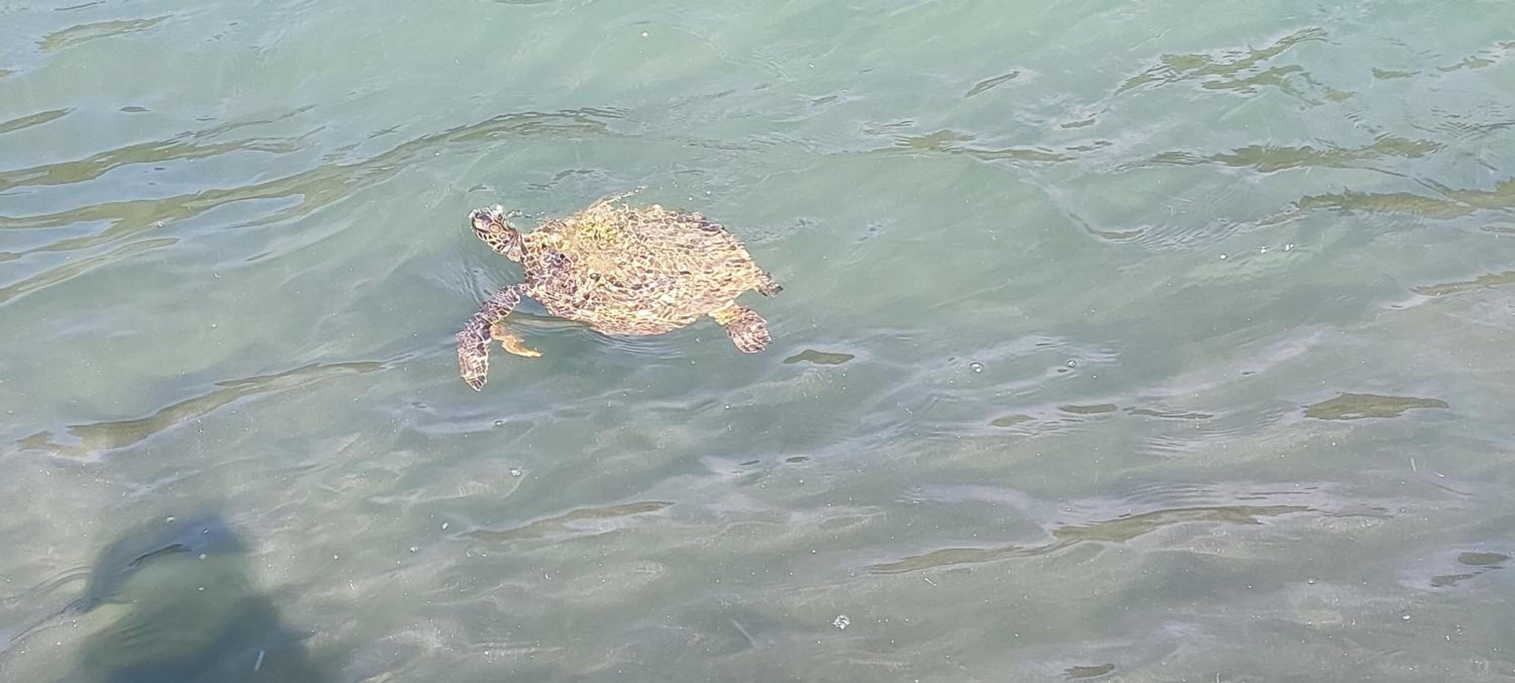 Apto com piscina Cantinho Além do Mar-Ubatuba