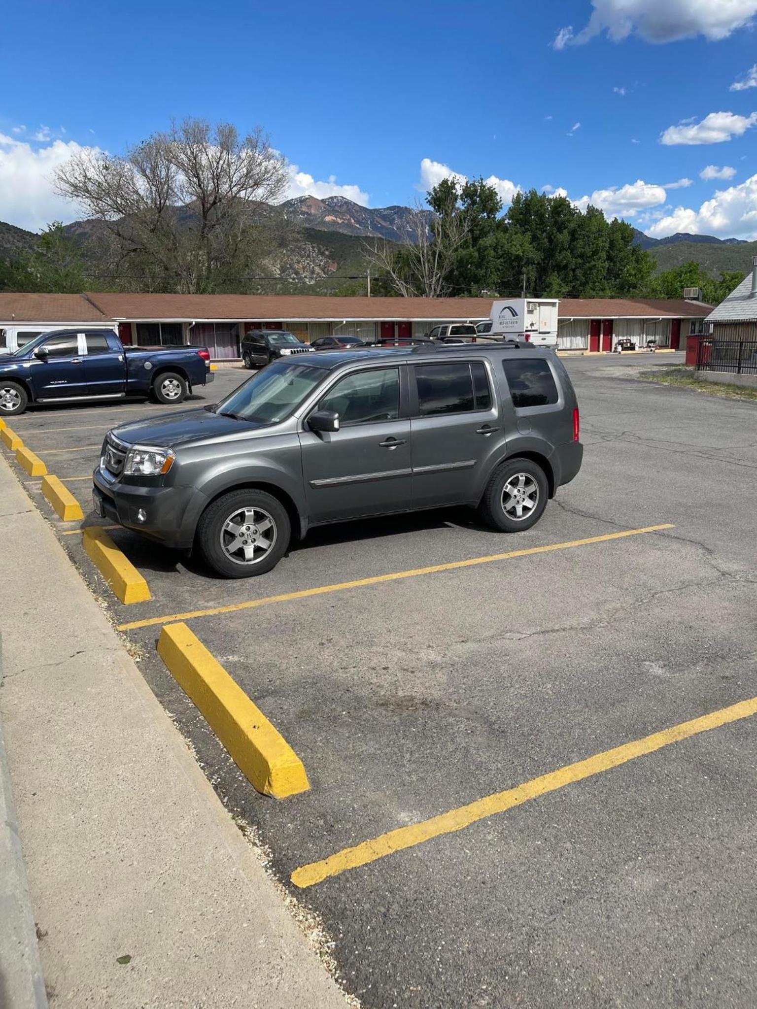 Safari Motel
