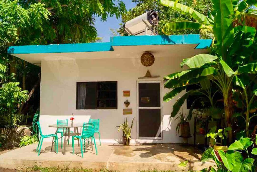 Unique house; jardín privado; 50 metros del Mar view 3