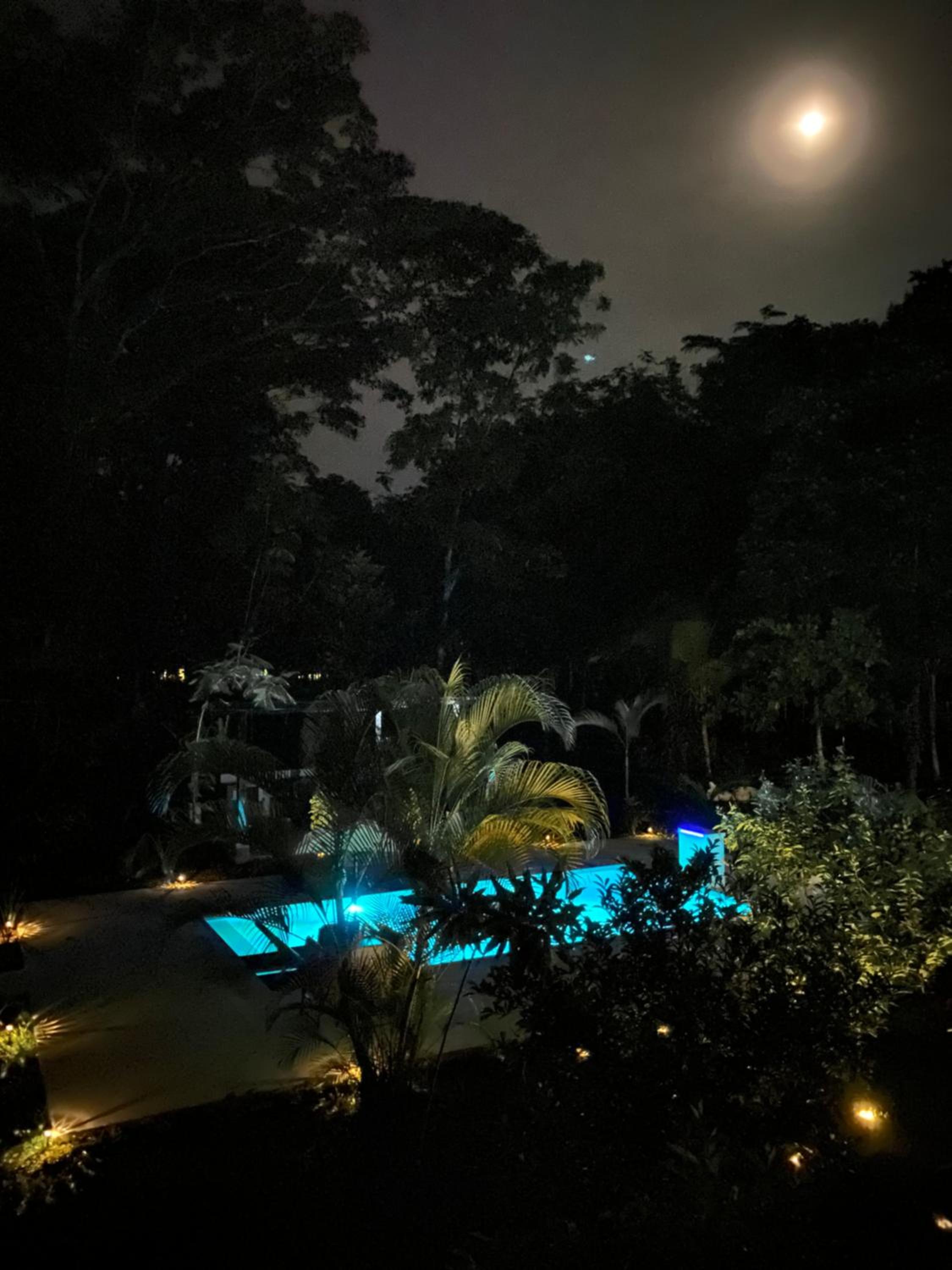 La Amapola Lodge, Bungalow en Península de Osa.