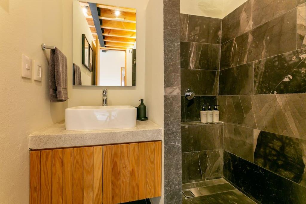 Magnificient downtown apartment