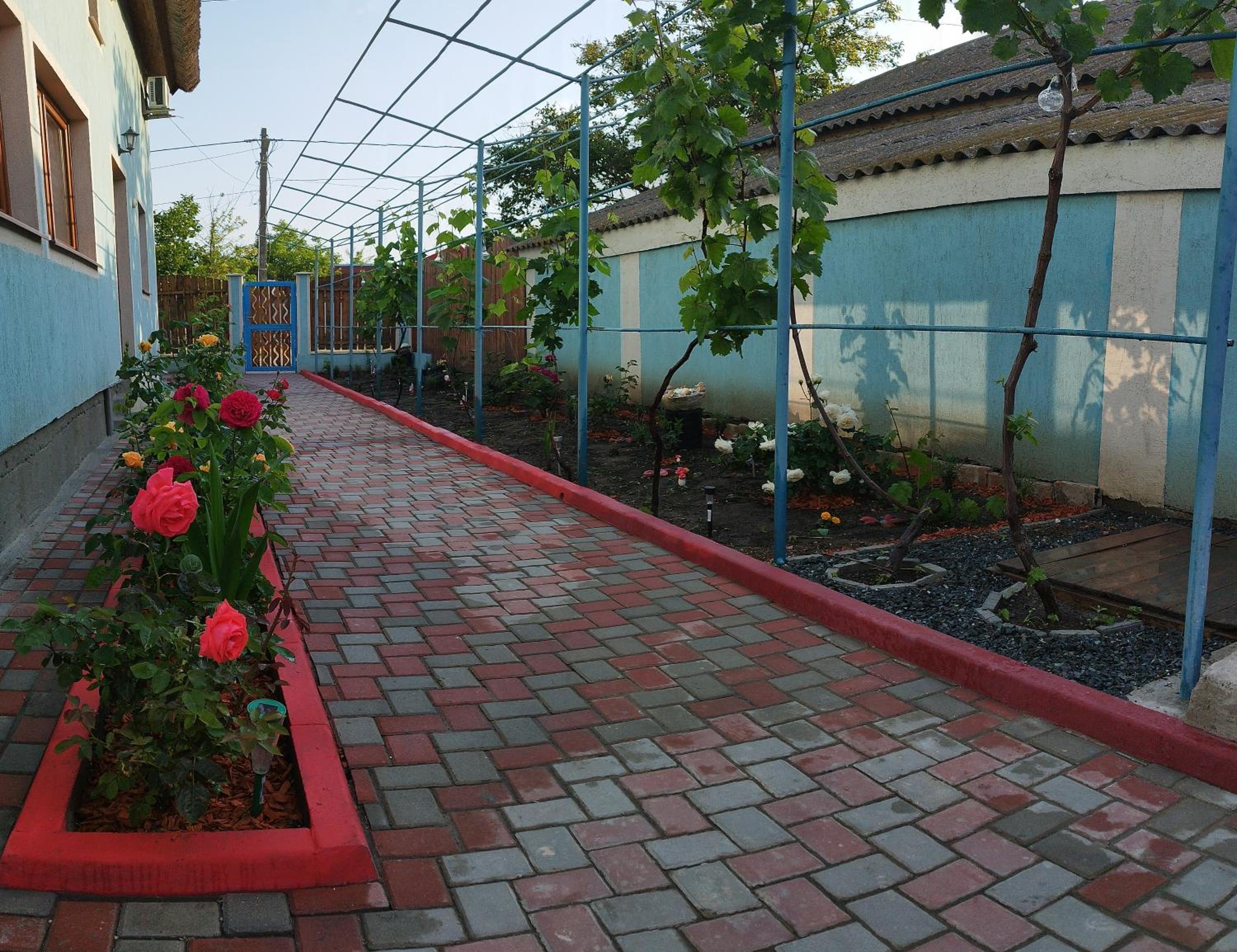 Photo 24