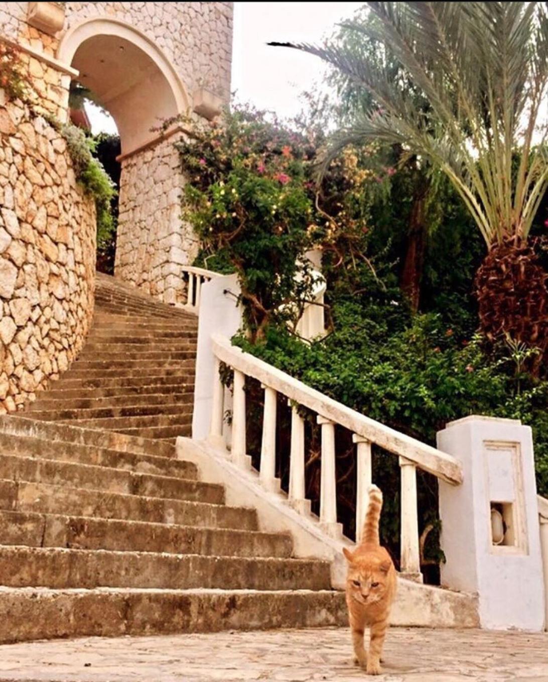 Kaş, Kalkan, Club Patara tatil köyünde villa view 4
