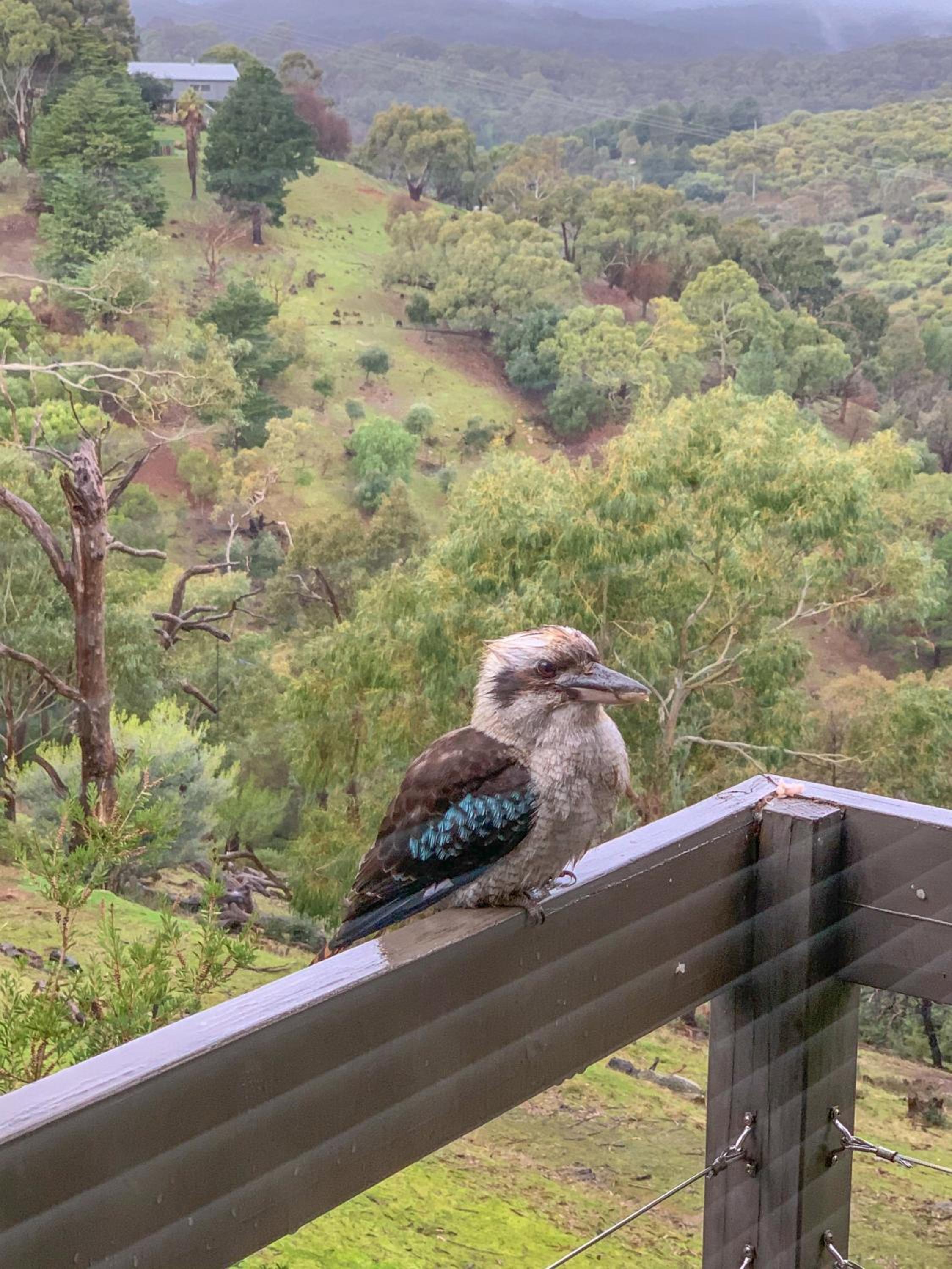 Parvatii-Perfect Adelaide Escape-15 mins to City & Wineries