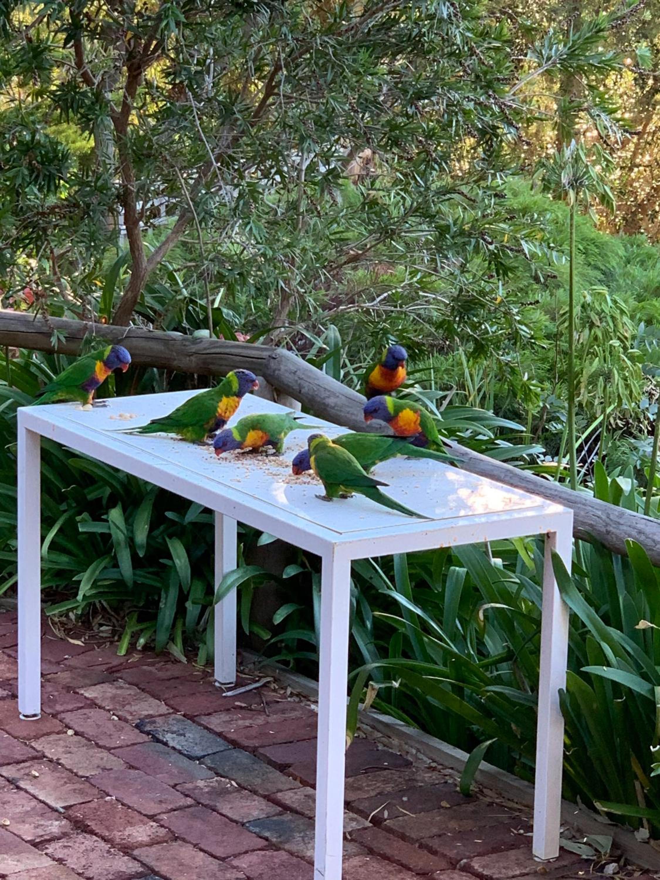 Parvatii-Perfect Adelaide Escape-15 mins to City & Wineries