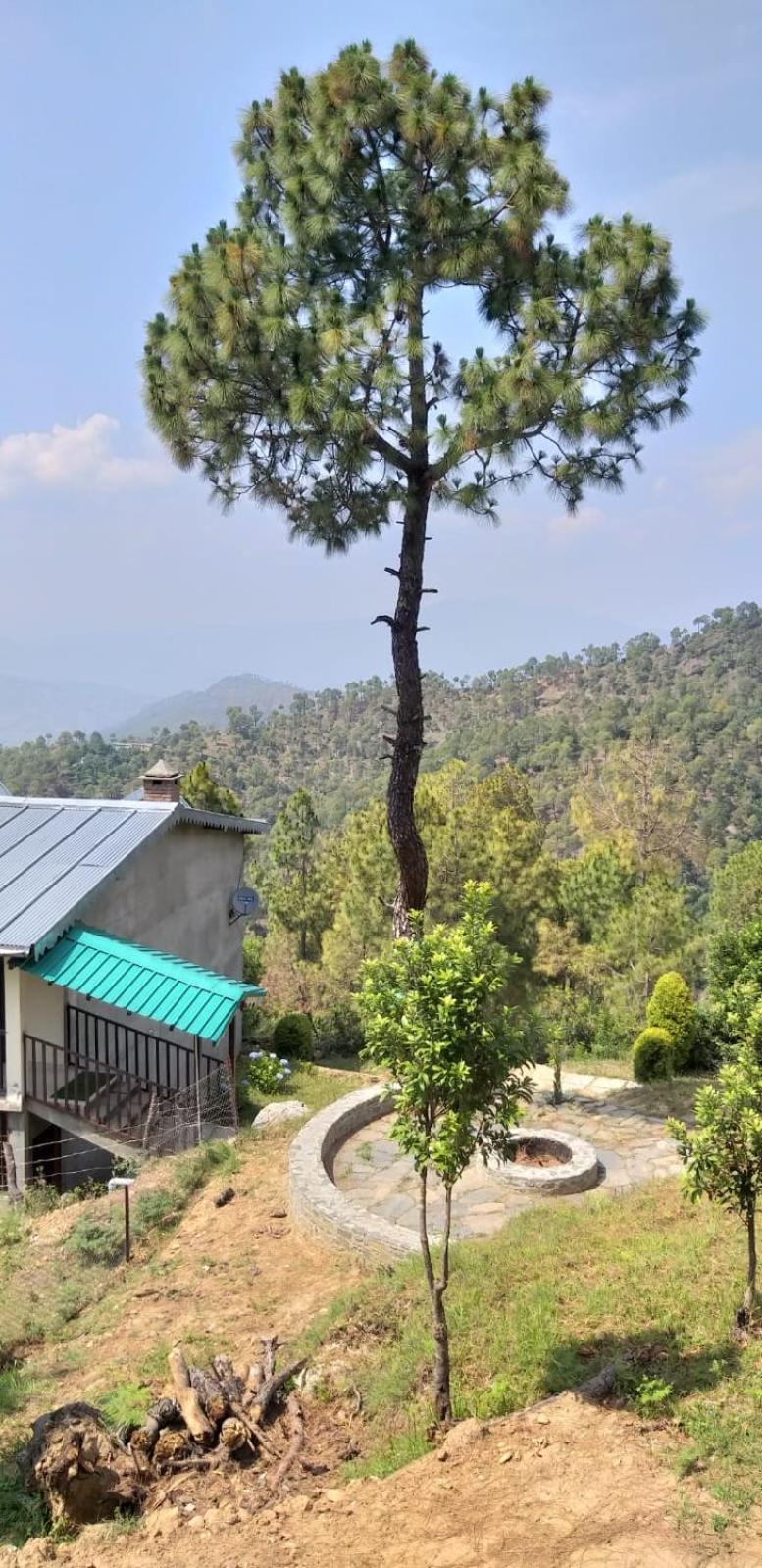 Elphinstone Inn view 3
