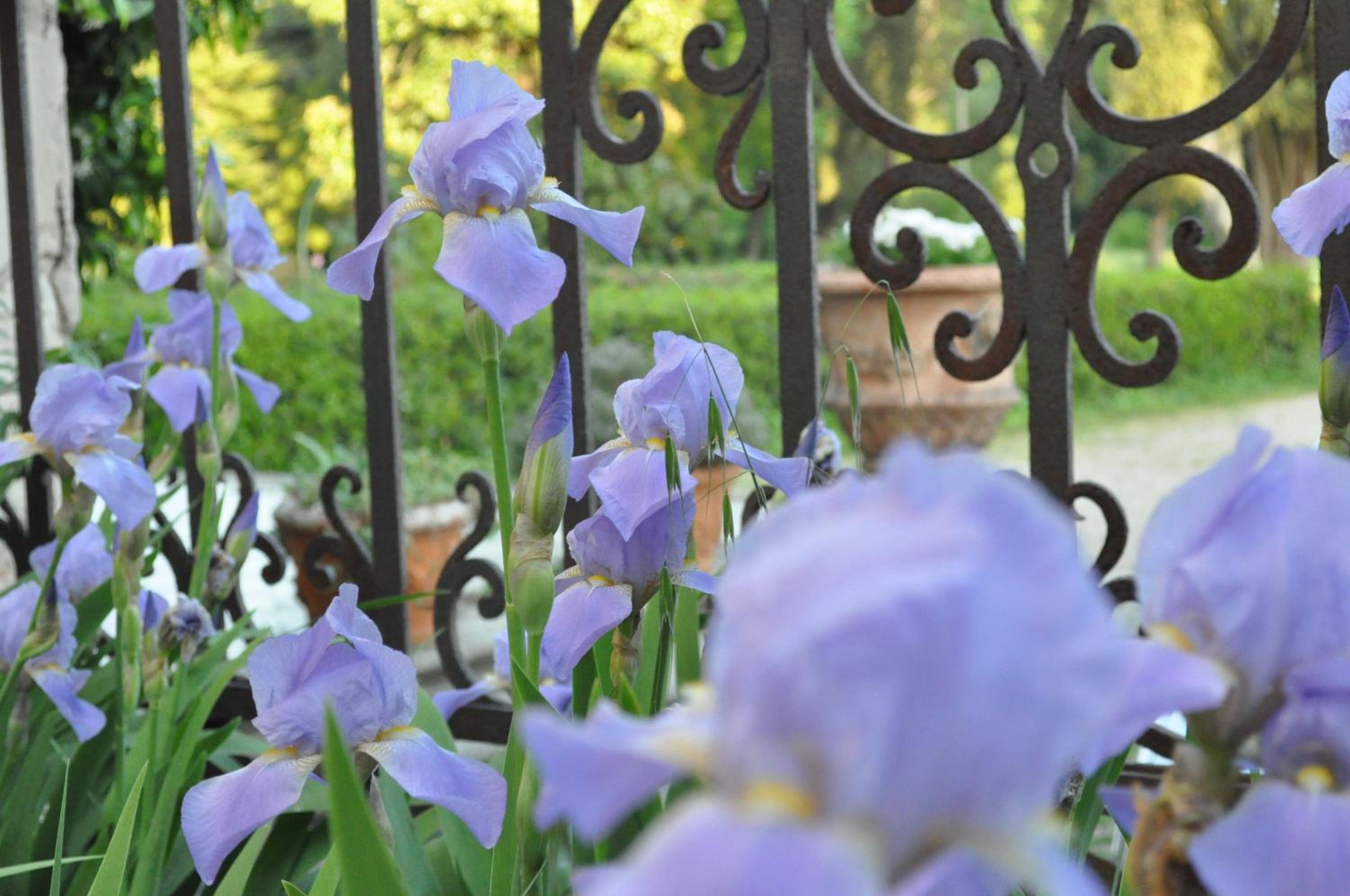 Armonie di Villa Incontri B&B