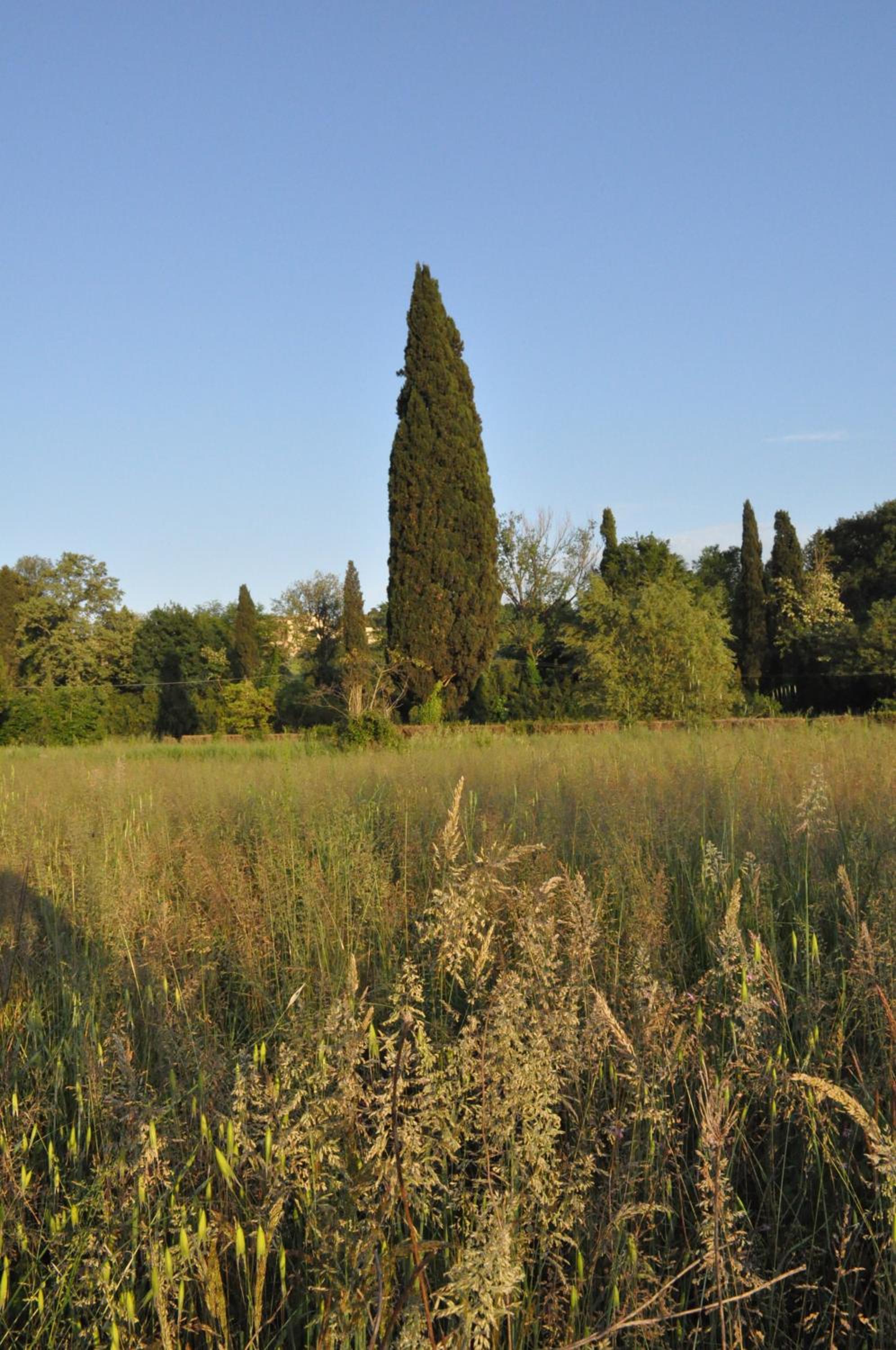 Armonie di Villa Incontri B&B