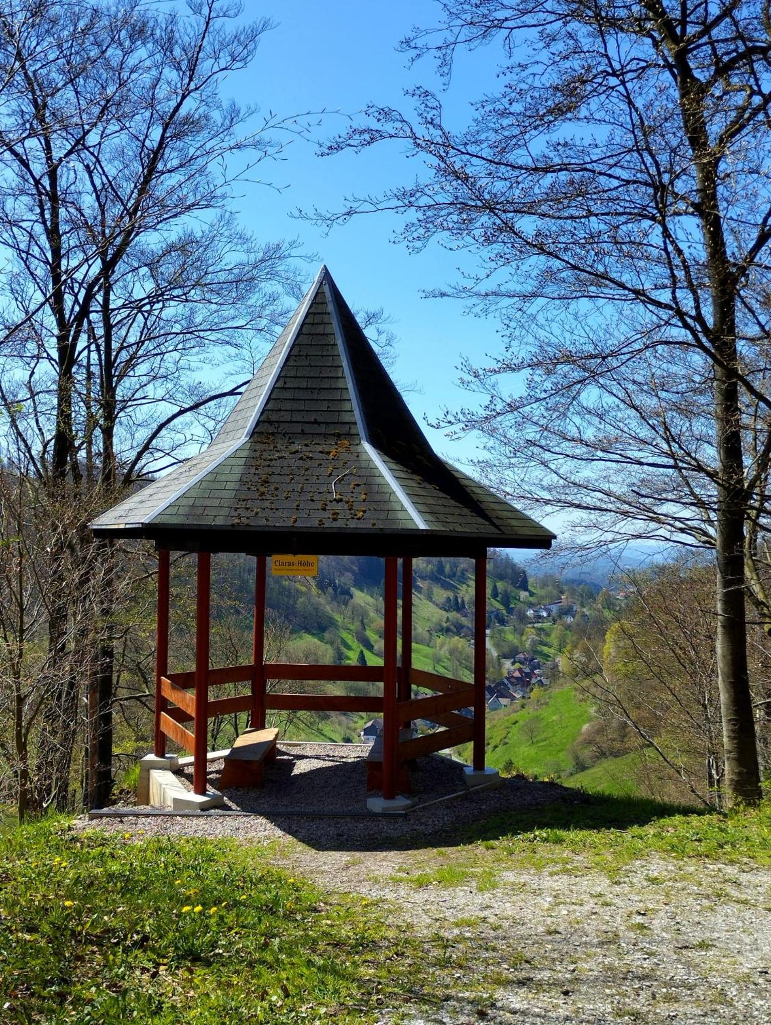 Olifant in Osterode