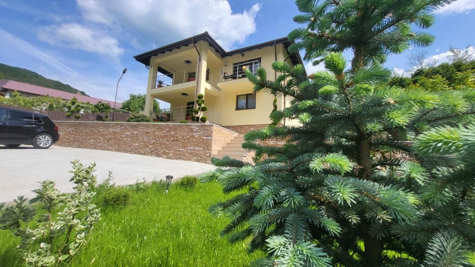 Noblesse Caciulata view 2