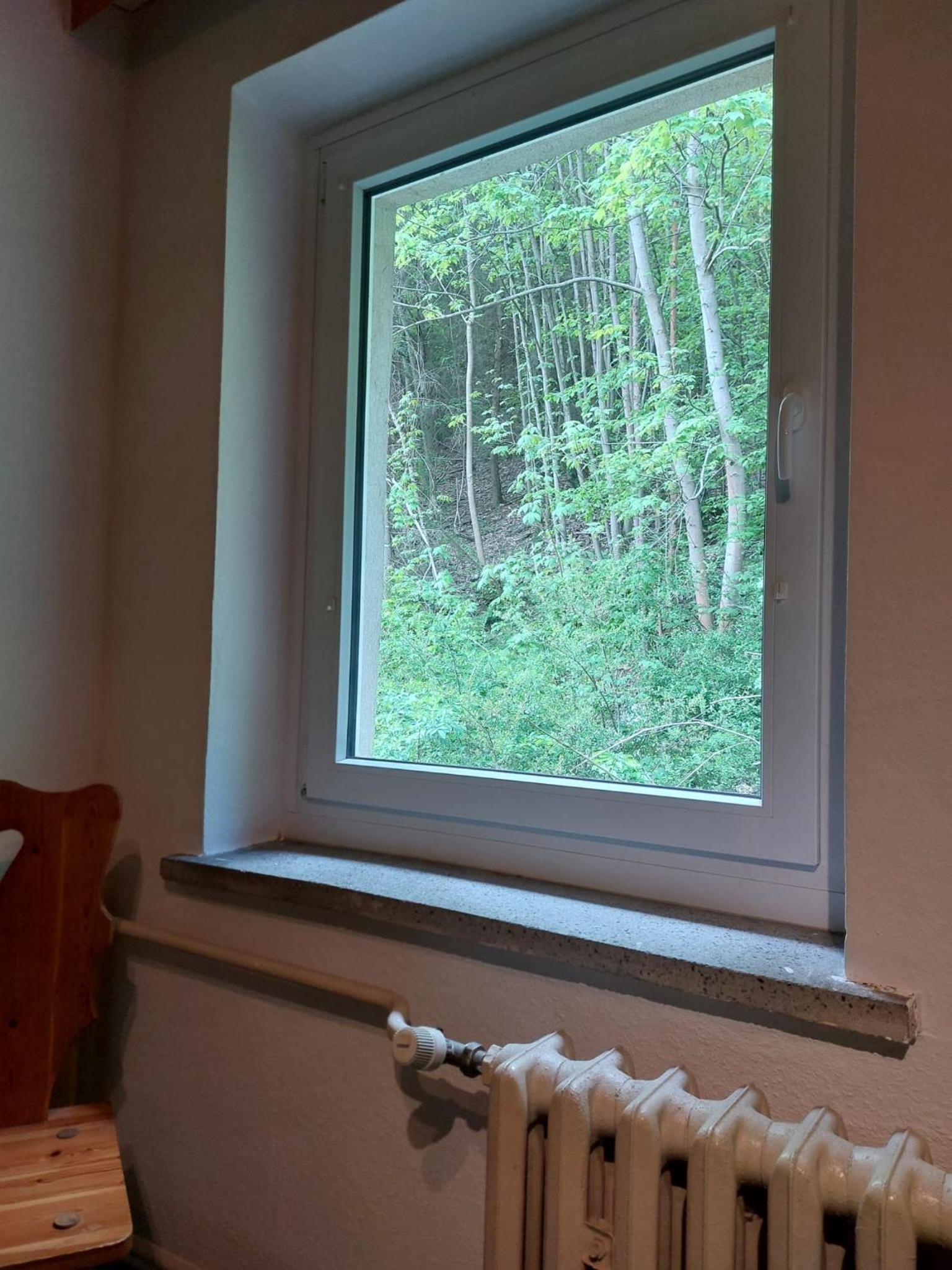 Pension Sternschnuppe, Treseburg Harz, unmittelbar am Wasser