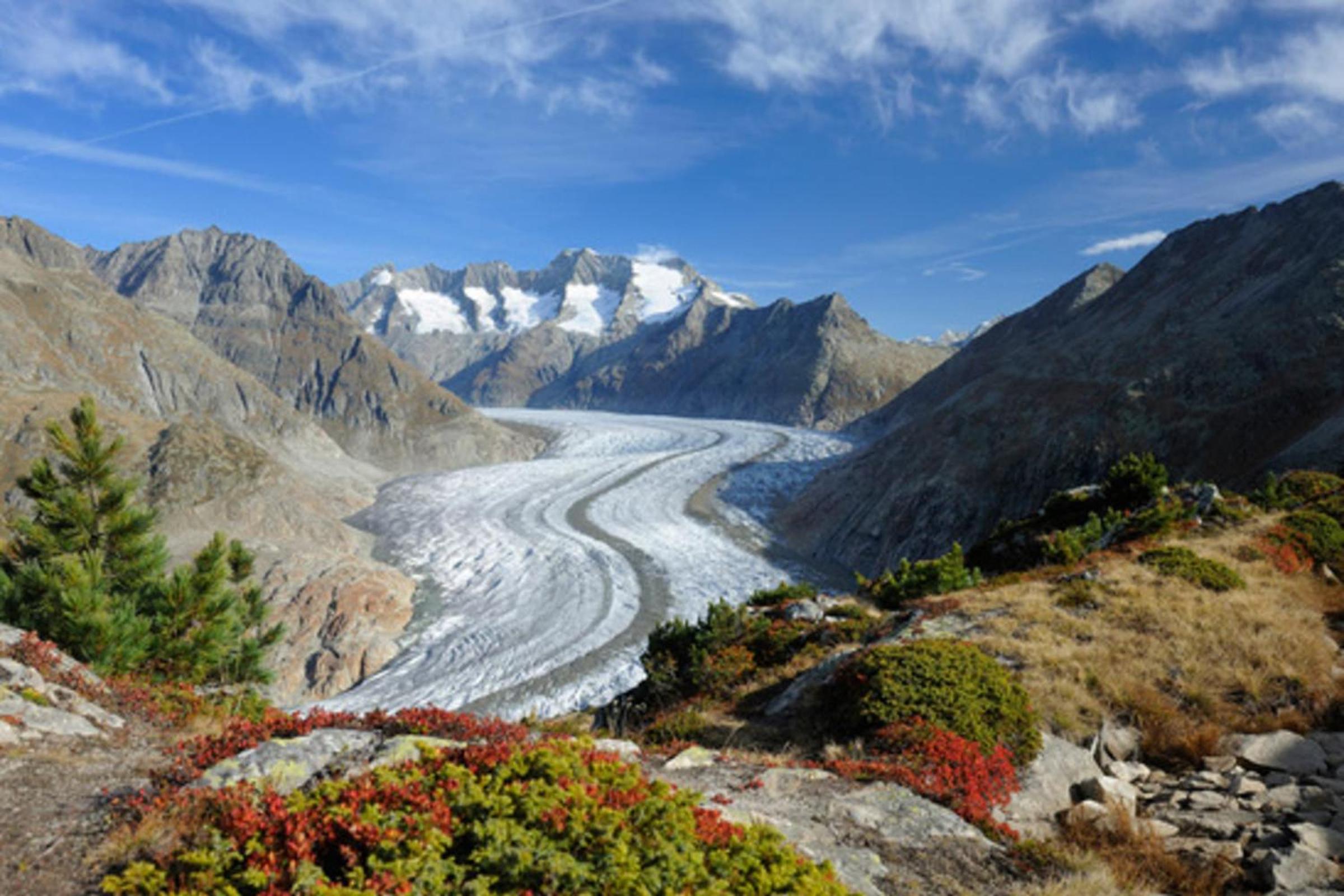 Vieux Valais BeeValais 1
