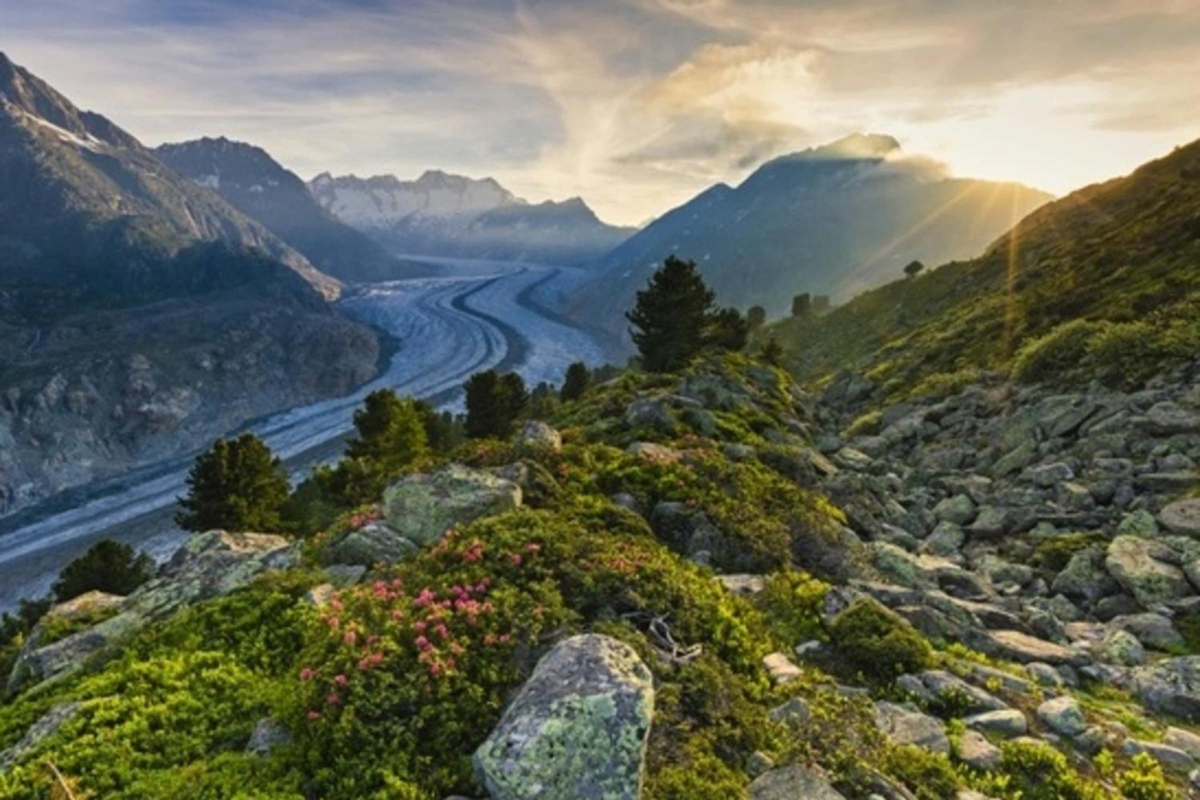 Vieux Valais BeeValais 1