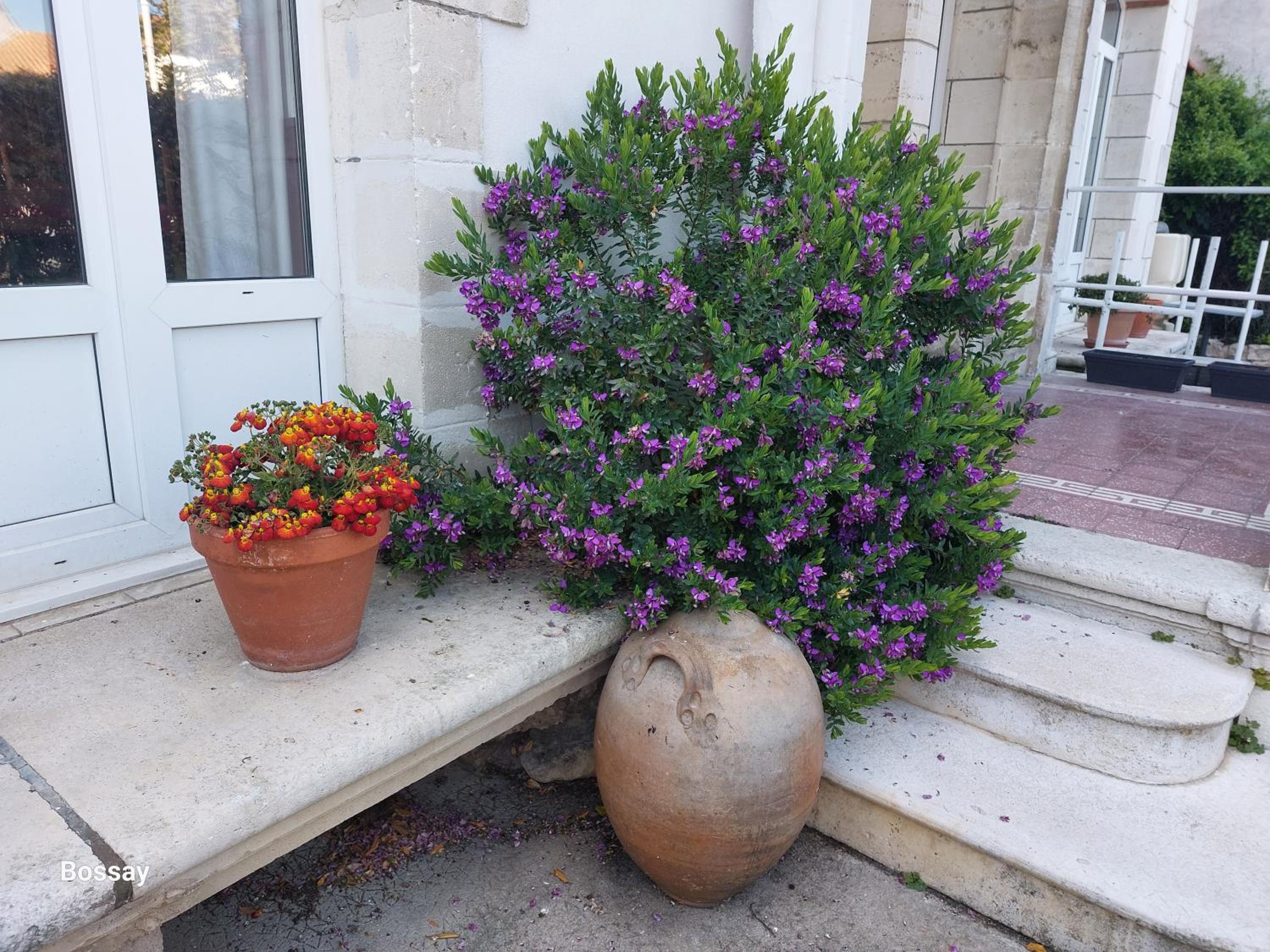 Photo 44