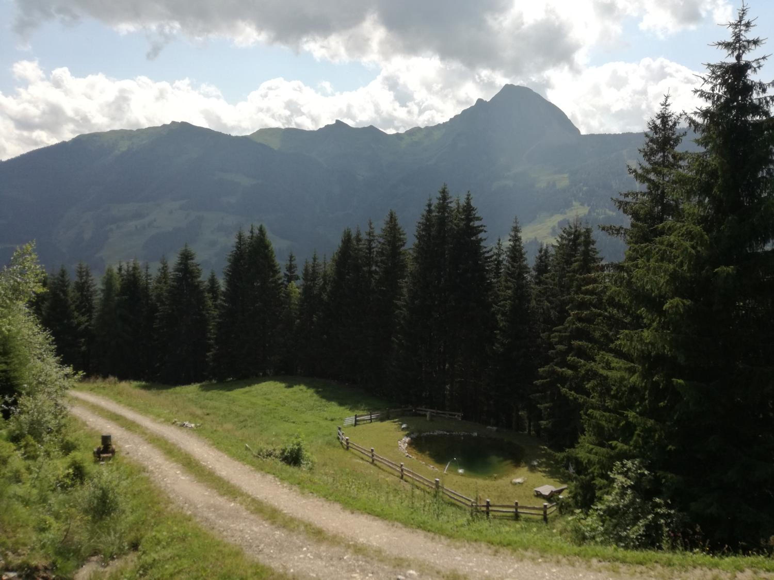Rainer-Heimalm