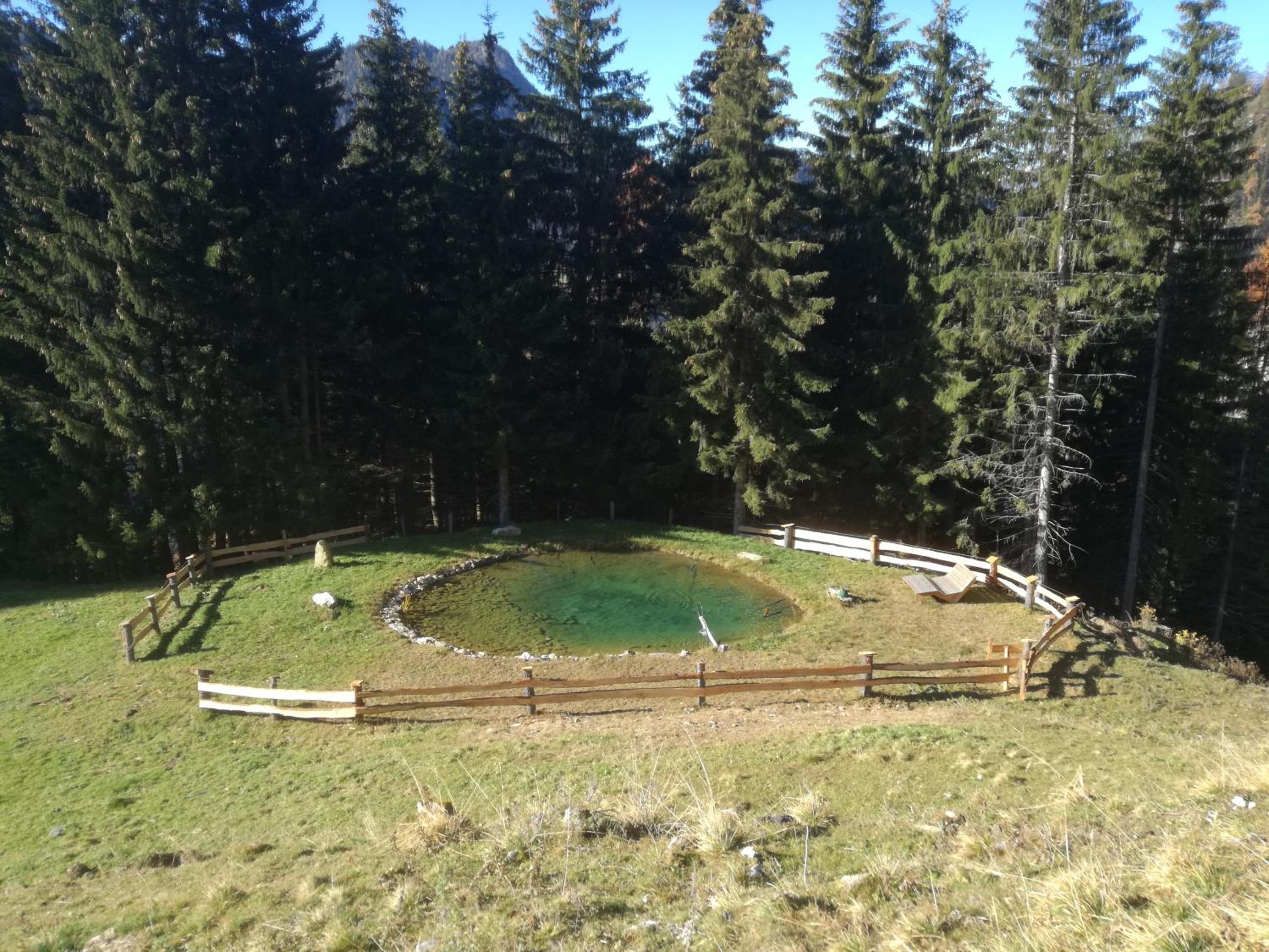 Rainer-Heimalm